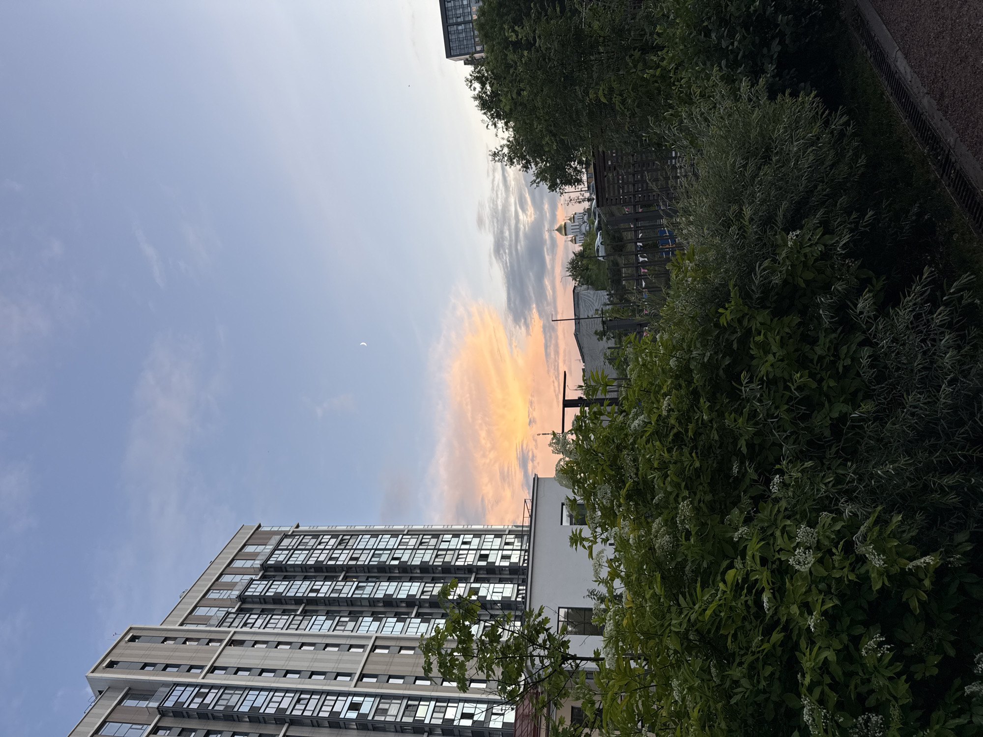 The image depicts a twilight scene in Moscow, Russia. In the foreground, lush green bushes and trees dominate the lower half of the frame, some with small white flowers. Behind the foliage, a modern, multi-story building with a glass facade stands to the left, reflecting the soft colors of the sky. To the right, further in the distance, a cluster of buildings, including a domed church, is visible against the horizon. The sky is a gradient of pale blue, transitioning to hues of orange and pink where the sun has set. A crescent moon is visible in the upper left quadrant of the sky. The overall impression is one of an urban landscape at dusk, with a blend of contemporary architecture and natural elements.