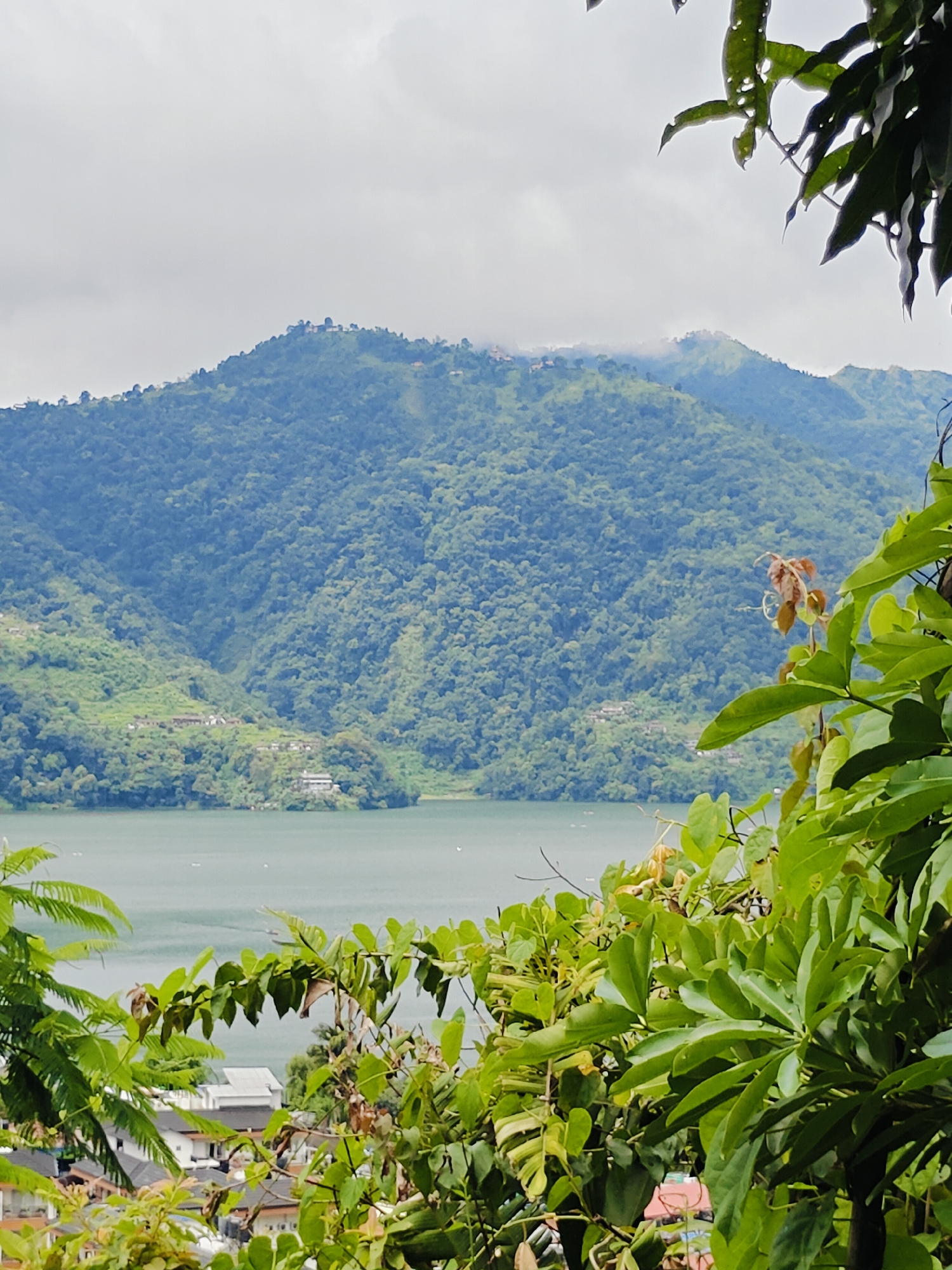 The image displays a scenic view of a lake and mountains in Pokhara, Nepal. In the foreground, lush green foliage partially obscures the view, with some leaves showing signs of browning. Beyond the foliage, a calm, greenish body of water stretches across the mid-ground, with a few small boats visible. The far background is dominated by rolling, densely forested mountains, with a hint of a village or settlement scattered along the slopes and the summit. The sky is overcast with clouds. The overall impression is one of natural beauty and tranquility.