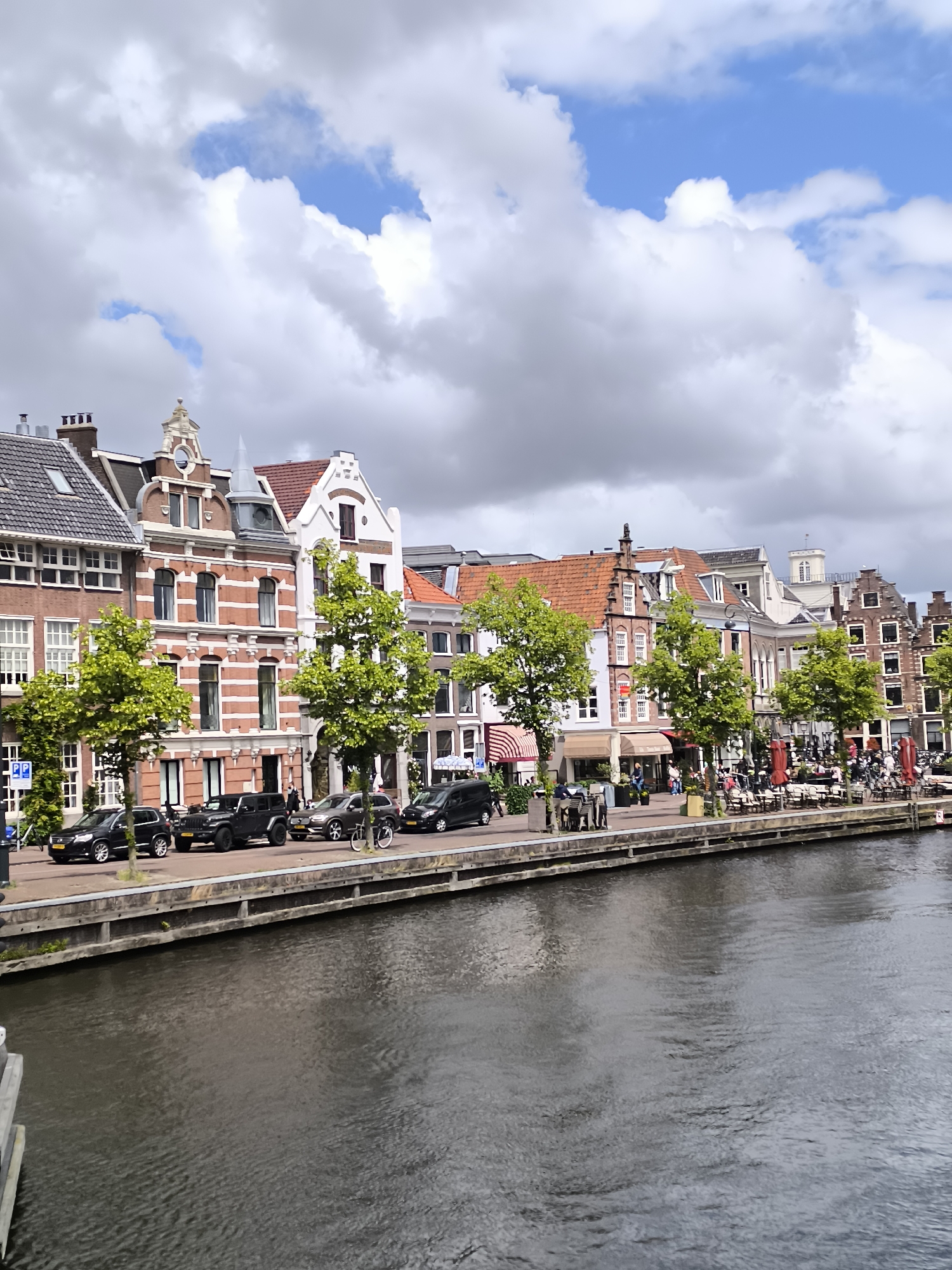 This is a vertical, medium shot photograph of a canal lined with buildings and trees in Haarlem, Netherlands. The canal occupies the lower half of the image, with its dark, rippled surface reflecting the overcast sky and buildings. Along the canal's edge is a paved walkway with tables and chairs set up outside several establishments, indicating an outdoor seating area for cafes or restaurants. Numerous trees with vibrant green foliage are planted along the walkway, their branches partially obscuring the facades of the buildings behind them.
The buildings are narrow and tall, characteristic of Dutch architecture, with varied rooflines, brick and white facades, and numerous windows. Some buildings feature decorative gables and architectural details. Cars are parked along the street in front of the buildings, and a few people are visible walking or seated at the outdoor tables. The sky above is a mix of white and grey clouds, with patches of blue sky visible. The overall scene depicts a picturesque urban setting with a prominent waterway.