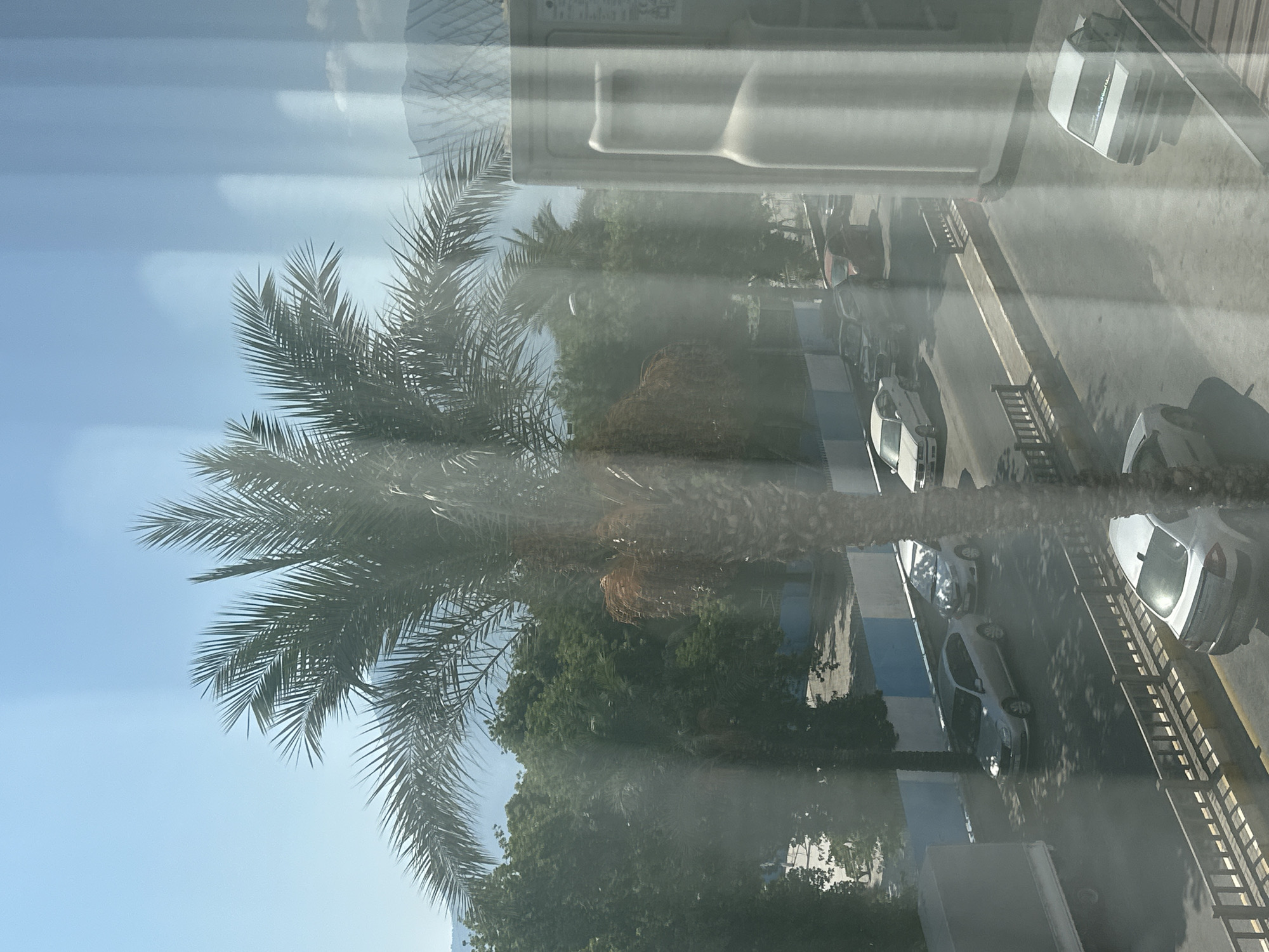 The image provides a sunlit view from an elevated vantage point, likely a window, overlooking a street scene in Fethiye, Turkey. A large palm tree with lush fronds dominates the foreground, its trunk weathered and textured. Beyond the palm, a line of trees with dense green foliage forms a backdrop. The street below is moderately trafficked with several cars, including a silver sedan, a white sedan, and a darker colored SUV. A large white truck is visible on the left. A blue and white striped wall runs along the side of the street. The sky is clear and blue, with subtle vertical reflections on the windowpane creating a striped effect across the scene. In the far distance, faint outlines of hills or mountains can be discerned. On the right side of the image, a portion of a light-colored air conditioning unit is visible, partially obscuring the view. The overall impression is one of a warm, bright day in a coastal or Mediterranean city.