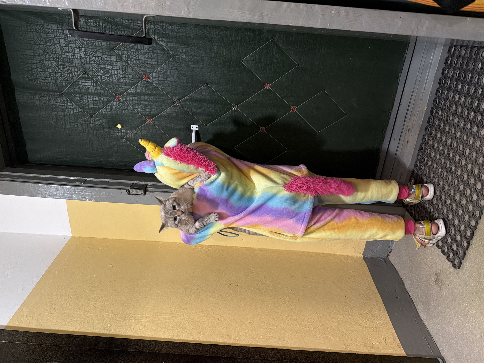 A light gray tabby cat is inside a multi-colored unicorn onesie with pink details, lying on a yellow and white painted surface next to a dark green door. The cat is positioned toward the upper left of the frame. The onesie has attached footwear with white sandals and yellow straps. The background includes a dark green door with a raised, textured pattern and metal hardware. The setting is likely indoors, possibly an apartment hallway. The location is identified as Perm, Russia.