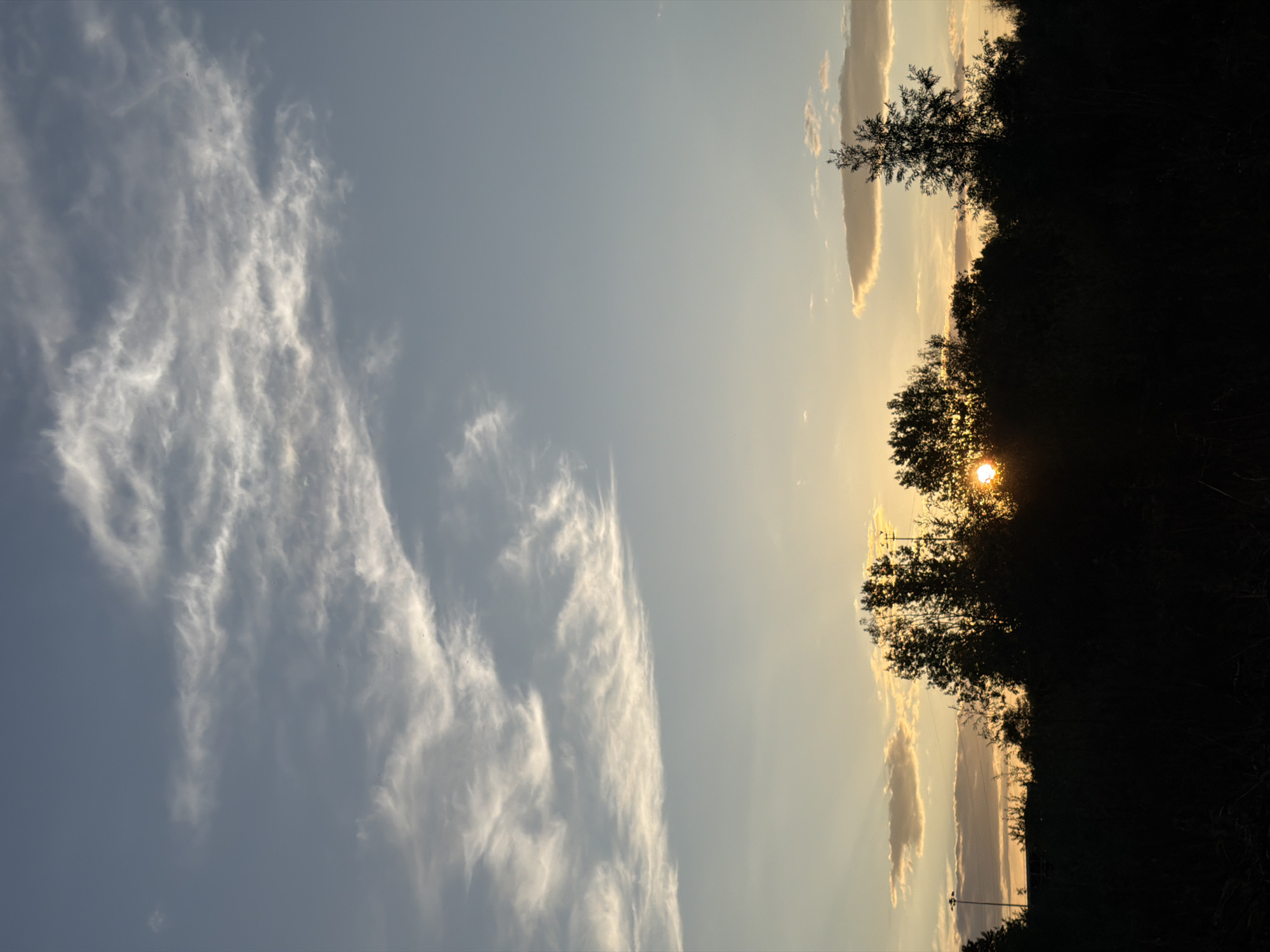 The image depicts a sunset over a silhouetted landscape, likely in Schifflange, Luxembourg. The sky is a gradient of pale blue at the top, transitioning to soft yellow and orange near the horizon. Wispy white clouds are scattered across the upper portion of the sky. A prominent band of thin, elongated clouds stretches diagonally from the upper left to the middle right, illuminated by the setting sun.
The foreground is dominated by a dense, dark silhouette of trees and vegetation. The sun is partially obscured by the foliage of a cluster of trees in the center-right of the image, creating a bright, concentrated point of light. Sunbeams are visible emanating from behind the trees and clouds near the horizon, fanning out into the sky. In the distance, faint structures and a lamppost are barely discernible against the darkening sky, suggesting an urban or semi-urban edge to the natural environment. The overall impression is one of a tranquil evening scene, with the natural elements of sky and vegetation forming the primary subjects.