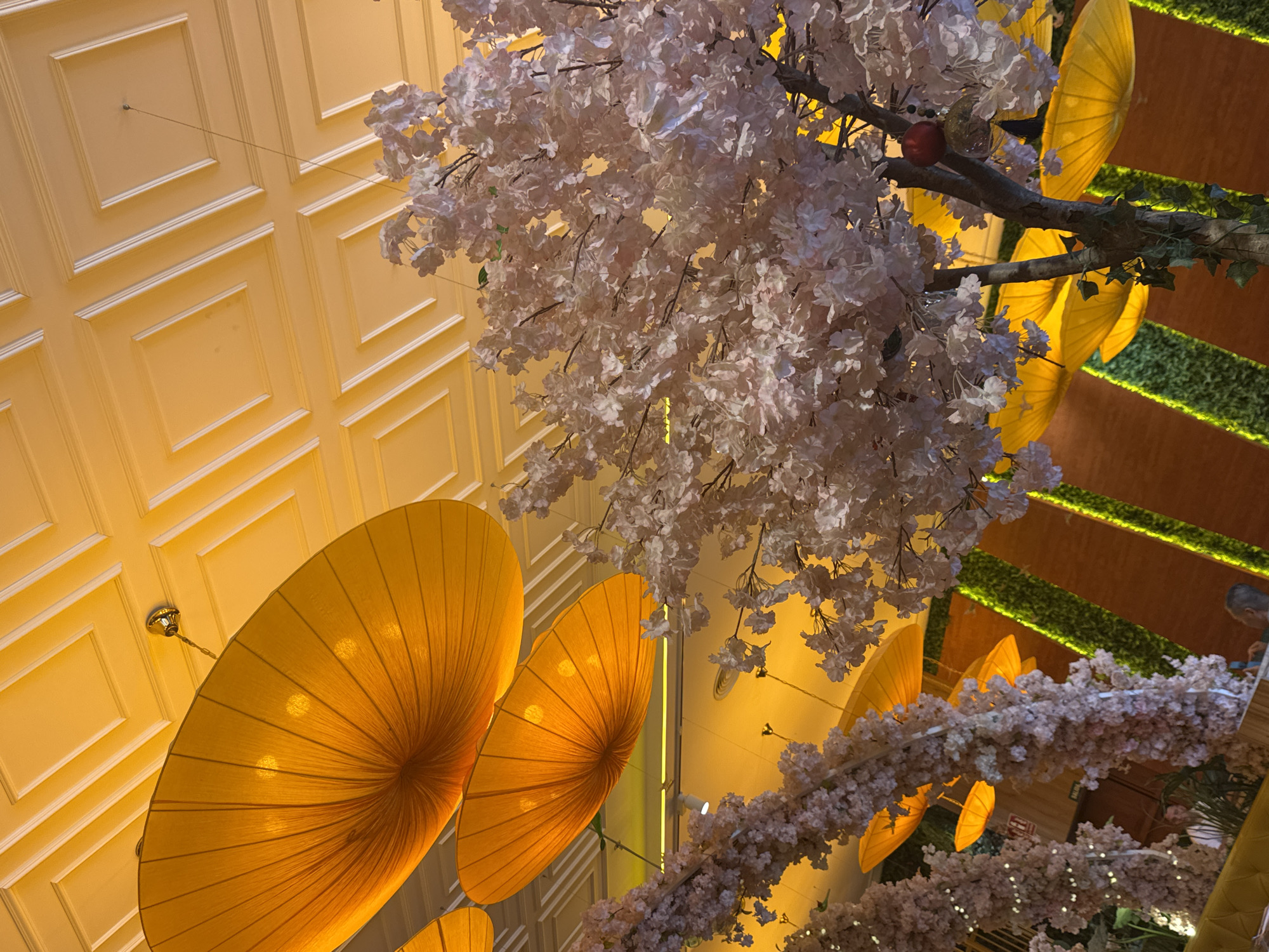 The image depicts an indoor scene, likely an ornate restaurant or event space. A decorative ceiling is visible in the upper-left, featuring a grid pattern of recessed panels. Hanging from the ceiling are large, yellow, umbrella-like lampshades arranged in a cluster.
Central to the image are artificial cherry blossom branches, heavily laden with white and pink blossoms. The branches appear to be part of a decorative installation, possibly running across the ceiling or wall.
In the background, hints of a wall or partition decorated with green foliage and a wooden frame can be seen. The overall impression is one of opulence and carefully curated decor.
There is no indication of the image's location in the city of Aldaia, Spain.
