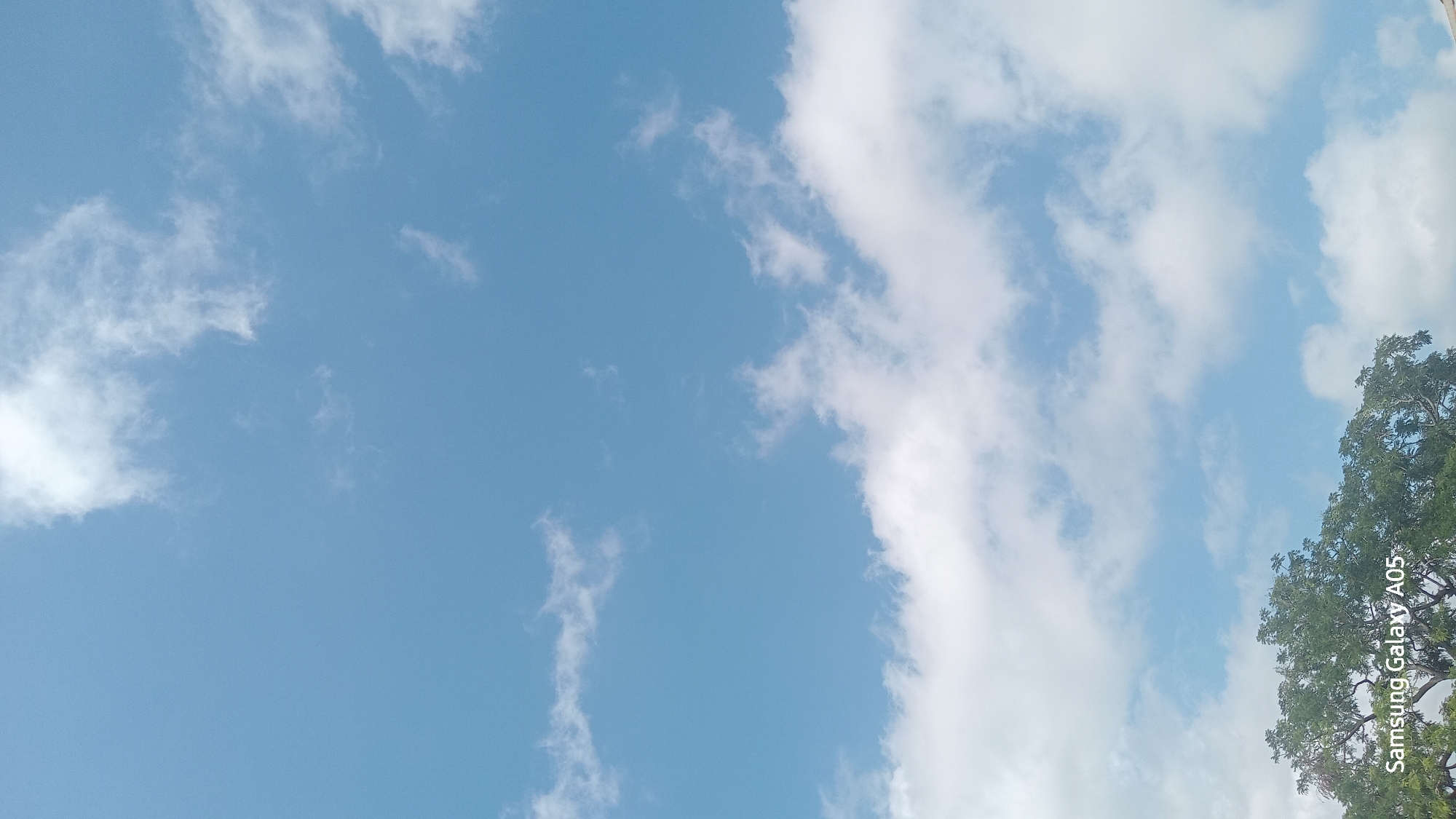The image shows a clear blue sky with scattered white clouds. In the bottom left corner, the top branches of a large, green tree are visible. The text "Samsung Galaxy A05" is overlaid on the lower portion of the image, indicating the device used to capture the photograph. The scene is outdoors and appears to be a bright, sunny day. The location is specified as Ribina East, Nigeria.