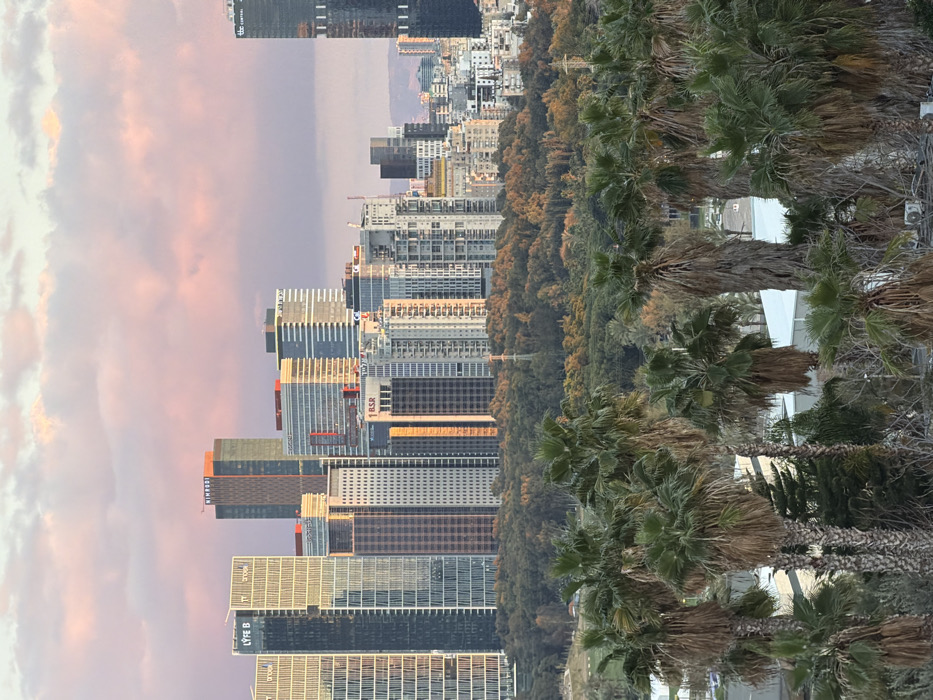 The image displays an elevated, wide-angle view of an urban landscape in the Tel-Aviv metropolitan area, specifically encompassing parts of the Ramat Gan and Bnei Brak business districts (including the Diamond Exchange District and BBC) as seen from a westerly perspective, with Park HaYarkon in the midground. The scene is illuminated by the low-angle light of either sunrise or sunset, evidenced by scattered clouds featuring distinct pink and purple hues across the sky.
In the foreground, a dense grouping of approximately two dozen mature palm trees occupies the lower half of the frame. These trees possess green fronds and textured, often fibrous, trunks. Smaller, bare deciduous trees and shrubs are interspersed among the palms. No human figures or activities are discernable in this section.
The midground consists of a broad, continuous expanse of parkland, heavily forested with a mix of green and autumnal-toned deciduous trees, consistent with the foliage of Park HaYarkon. A tall, dark, lattice-structure transmission tower with visible power lines stands within this wooded area.
The background is dominated by a dense concentration of high-rise buildings and skyscrapers, forming a modern urban skyline. Notable structures include two tall, slender buildings on the left, one clearly labeled "LYFE B." Towards the center-left, a prominent, reddish-brown high-rise bears the label "NIMRODI" at its apex. Other identifiable buildings include one marked "BSR" further right and a dark, tall skyscraper on the far right featuring "TLC CENTRAL" near its top. These buildings exhibit various contemporary architectural styles, primarily featuring reflective glass facades that catch the warm light. Beyond this primary cluster of high-rises, additional residential and commercial structures extend towards a distant, hazy mountainous or hilly horizon. No overt human activity, vehicles, or interactions are visible within the cityscape.
