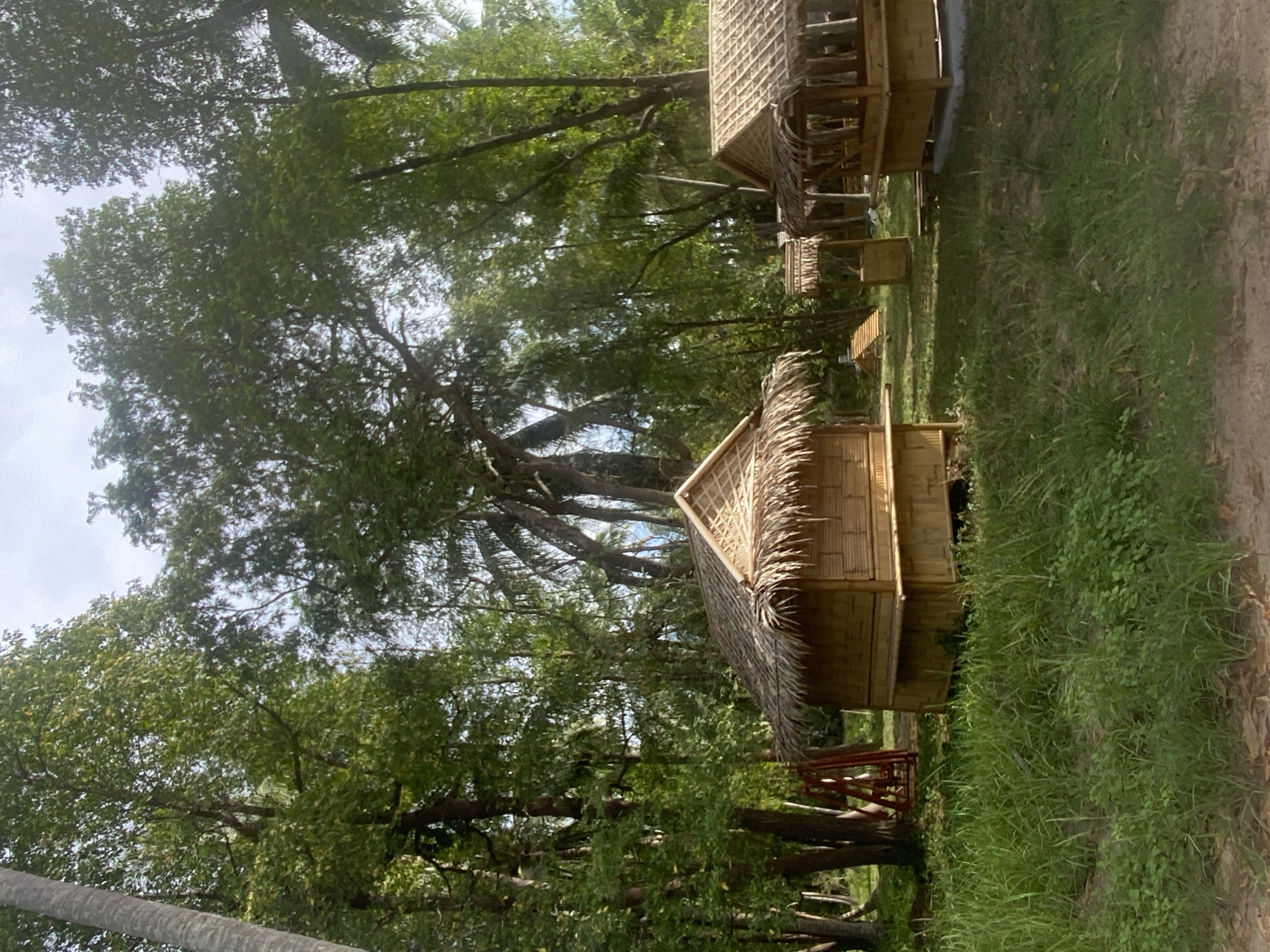 The image shows a scene in Moo 4, Thailand, featuring several small, elevated wooden structures with thatched roofs. These huts are surrounded by lush greenery, including trees and grass. One structure is in the foreground, while others are visible in the midground, suggesting a cluster of similar buildings. The ground is partially covered in grass and some dirt. The lighting is bright, indicating daytime. The environment is natural with the buildings appearing as an intentional addition to this setting.