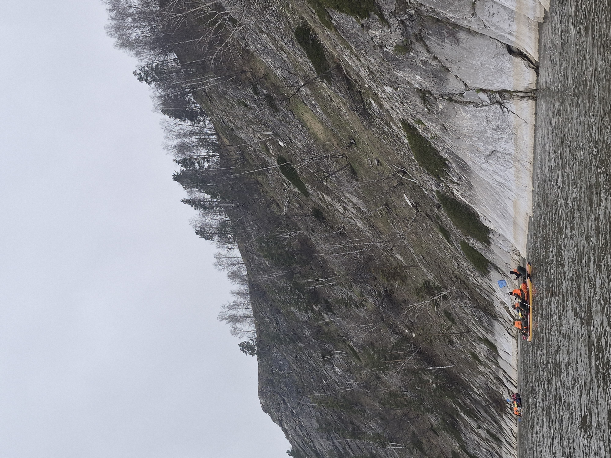 This image captures a scenic view of a river or large body of water bordered by a massive, steep cliff face. The cliff, which occupies the left side of the frame, is predominantly grey, rugged rock, featuring areas of moss and sparse, mostly bare deciduous trees, interspersed with some evergreens, suggesting a cool season like late autumn or early spring.
On the right, the water appears calm with subtle ripples, reflecting the overcast sky. Several individuals are engaged in a recreational activity on the water, situated in at least two inflatable rafts or boats near the cliff base. They are wearing bright orange life vests, and some are holding paddles. Small blue flags are visible attached to the boats.
The sky is uniformly overcast and light grey, contributing to a soft, diffused lighting across the entire scene. The overall atmosphere is tranquil and natural. No specific text is discernible. The location context provided for the image is Старомунасипово, Russia.