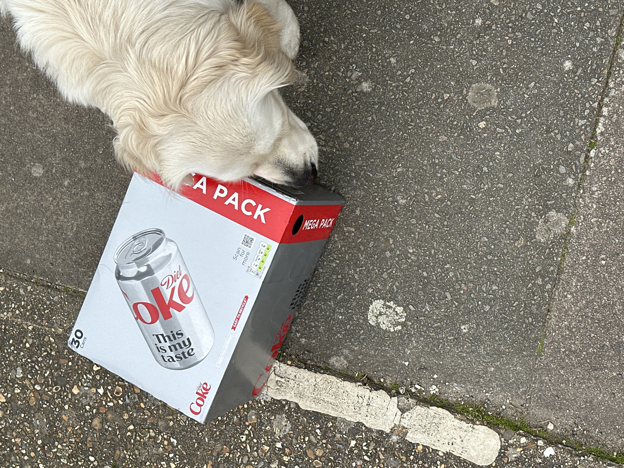 An overhead image displays a pale-furred golden retriever dog positioned with its head lowered against a large grey and red Diet Coke multi-pack box. The box features '30 Cans', 'Diet Coke', an image of a can, and 'This is my taste' on its visible face, with 'MEGA PACK' printed in red on a side strip. The dog's nose is in contact with the box's lower right corner, indicating interaction. Both subjects are situated on a worn, dark grey asphalt surface containing small gravel. A cracked white painted line extends vertically along the left, with sparse green vegetation emerging from the pavement cracks. The scene takes place outdoors on a paved public area. The specific location within London, United Kingdom, cannot be identified from the visual details presented.