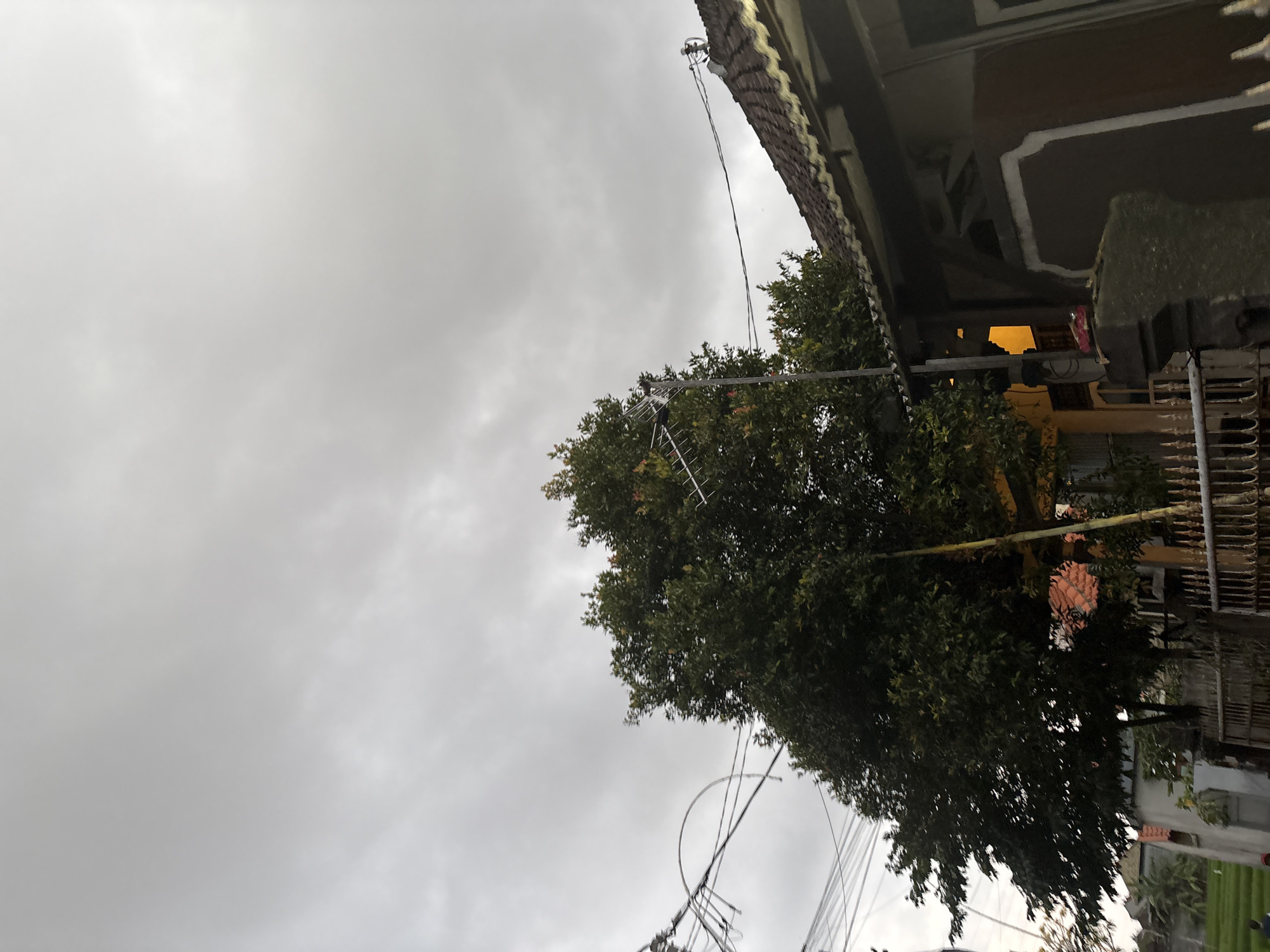 An overcast sky looms over a residential area in Denpasar, Indonesia. In the foreground, a portion of a house with a tiled roof and dark brown siding is visible on the right. A metal fence runs across the bottom of the frame. To the left of the house, a large, leafy green tree dominates the midground. An antenna is mounted on a pole near the tree. Electrical wires crisscross the upper left portion of the image. In the background, other houses with orange tiled roofs and a paddy field can be seen. The scene appears to be a street view within a neighborhood.