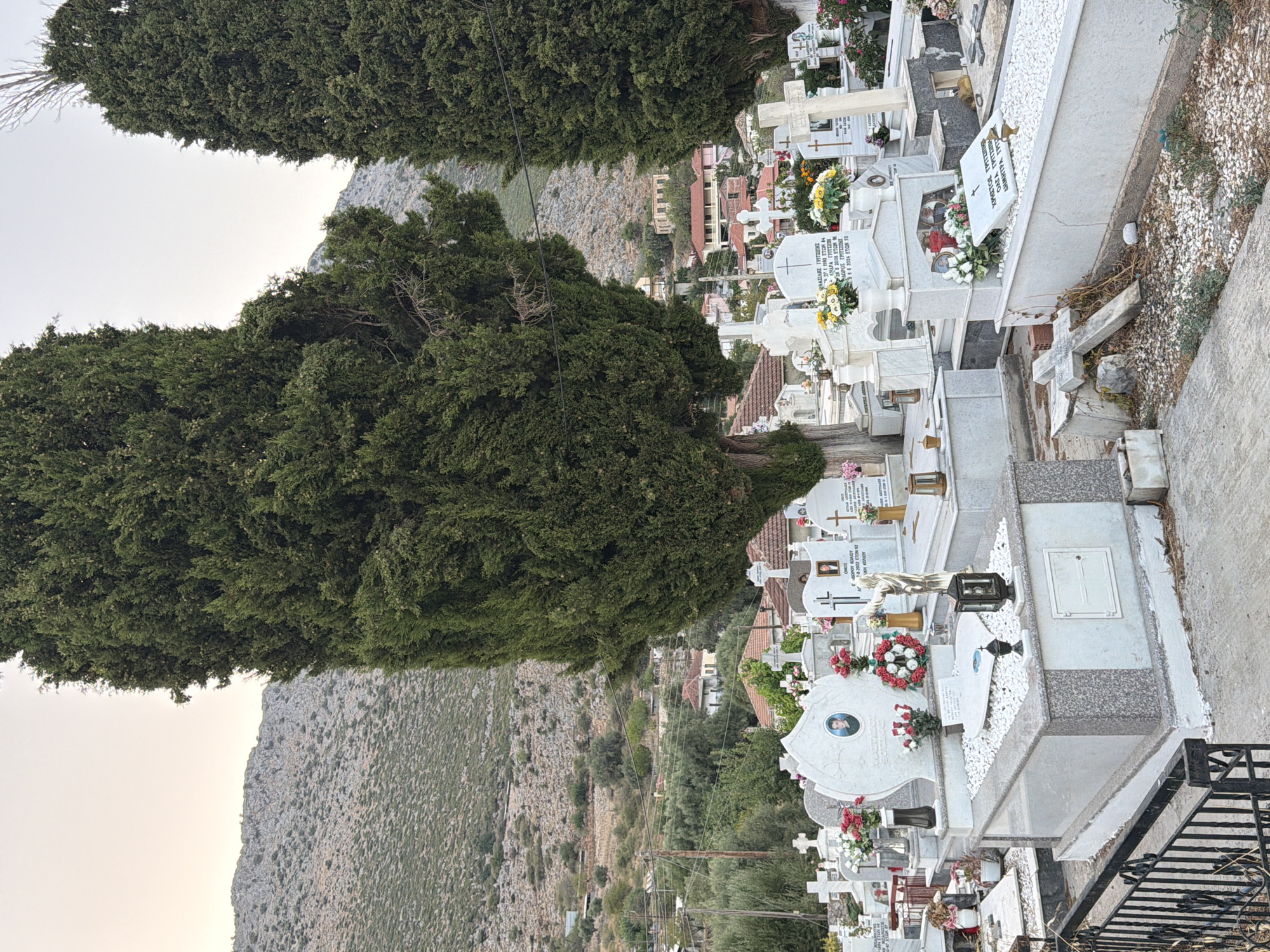 The image depicts a cemetery in the Municipal Unit of Alyzia, Greece. Two tall, mature cypress trees dominate the foreground, framing a view of numerous white marble gravestones and crosses. The gravestones are of various shapes and sizes, some adorned with flowers, wreaths, and photographs of the deceased. In the background, a hillside covered with vegetation slopes down towards a village with terracotta-roofed houses. Power lines are visible in the middle ground. The sky is overcast, suggesting a calm day. The scene is quiet and somber, typical of a resting place.