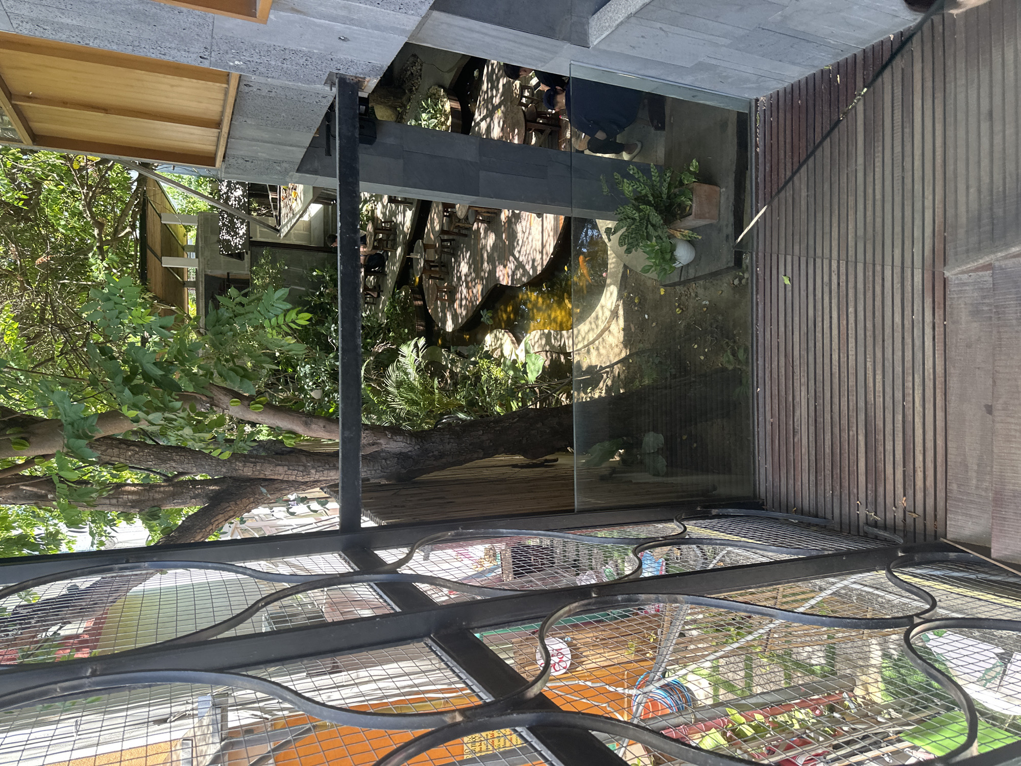 The image shows a view from a wooden walkway looking down into an outdoor seating area of a cafe in Da Nang, Vietnam. The walkway is made of horizontal wooden planks and is bordered by a black metal railing with decorative elements and a glass barrier. To the left, a metal fence encloses a building with orange and cream colored walls. In the center and to the right, the cafe features a winding wooden deck surrounded by a shallow water feature with koi fish visible. Scattered tables and chairs are arranged on the deck and on a paved area below. Lush greenery and trees are present throughout the scene. Two individuals are visible in the lower right portion of the image, seated at a table. The environment appears to be a well-maintained outdoor space with elements of natural and modern design.