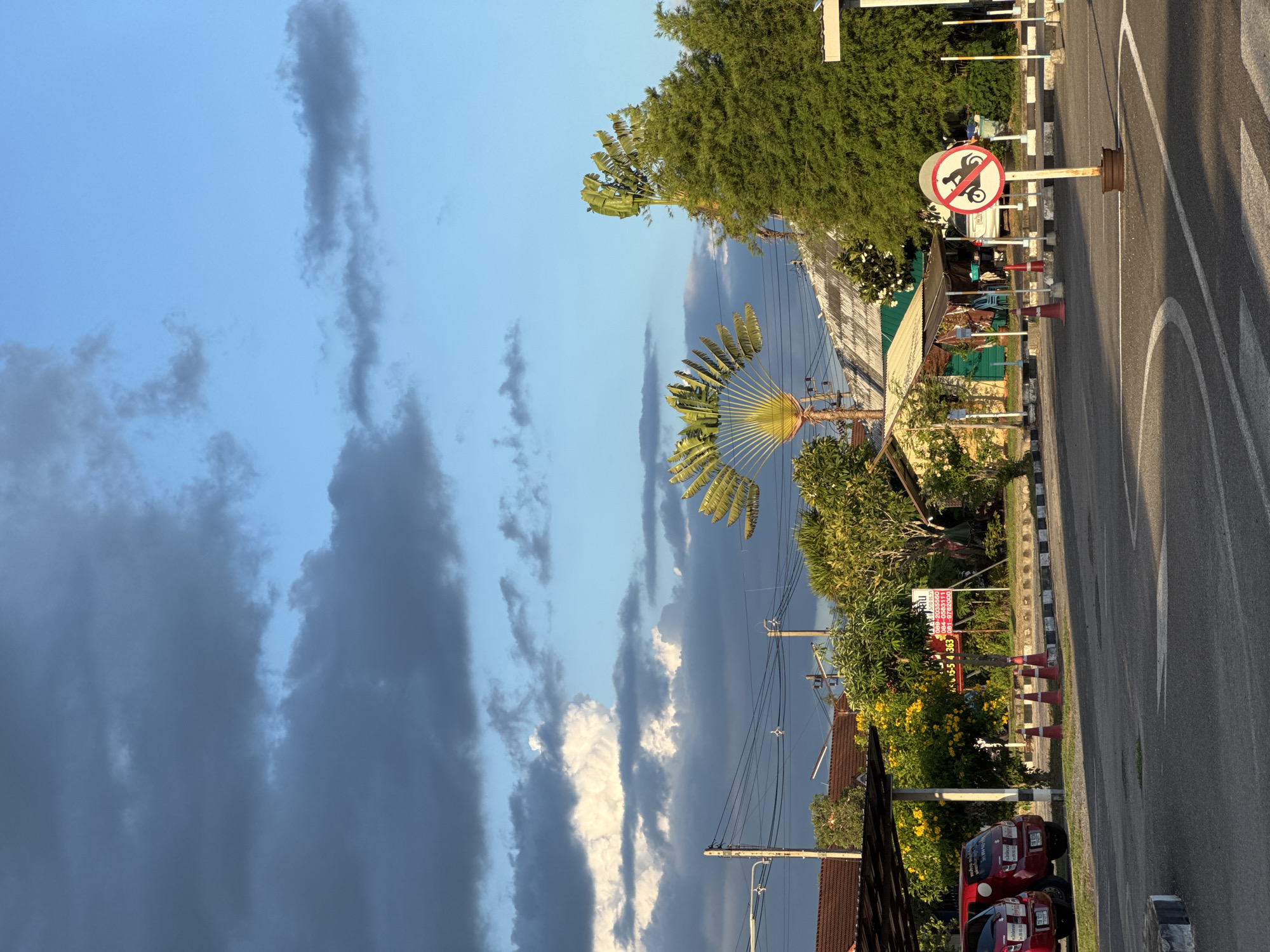 The image depicts an outdoor scene, likely a parking area or a street in Surat Thani City Municipality, Thailand. The sky is a mix of bright blue with scattered dark and light clouds, suggesting dynamic weather conditions. In the foreground, a paved asphalt surface with white lane markings is visible, indicating a road or parking lot. A circular sign with a red border and a red diagonal line across a motorcycle symbol signifies "no motorcycles." Traffic cones are placed along the edge of the paved area.

To the left, two red cars are parked under a covered structure, with a portion of a building with a brown tiled roof visible behind them. Lush green trees and bushes, some with yellow flowers, populate the middle ground. A distinctive fan palm tree with its fronds spread out like a fan is prominent. Several utility poles with overhead wires are also present. In the background, more buildings with corrugated roofs and trees can be seen. There are no people clearly visible in the frame. The overall impression is a daytime scene in a tropical urban or suburban environment.