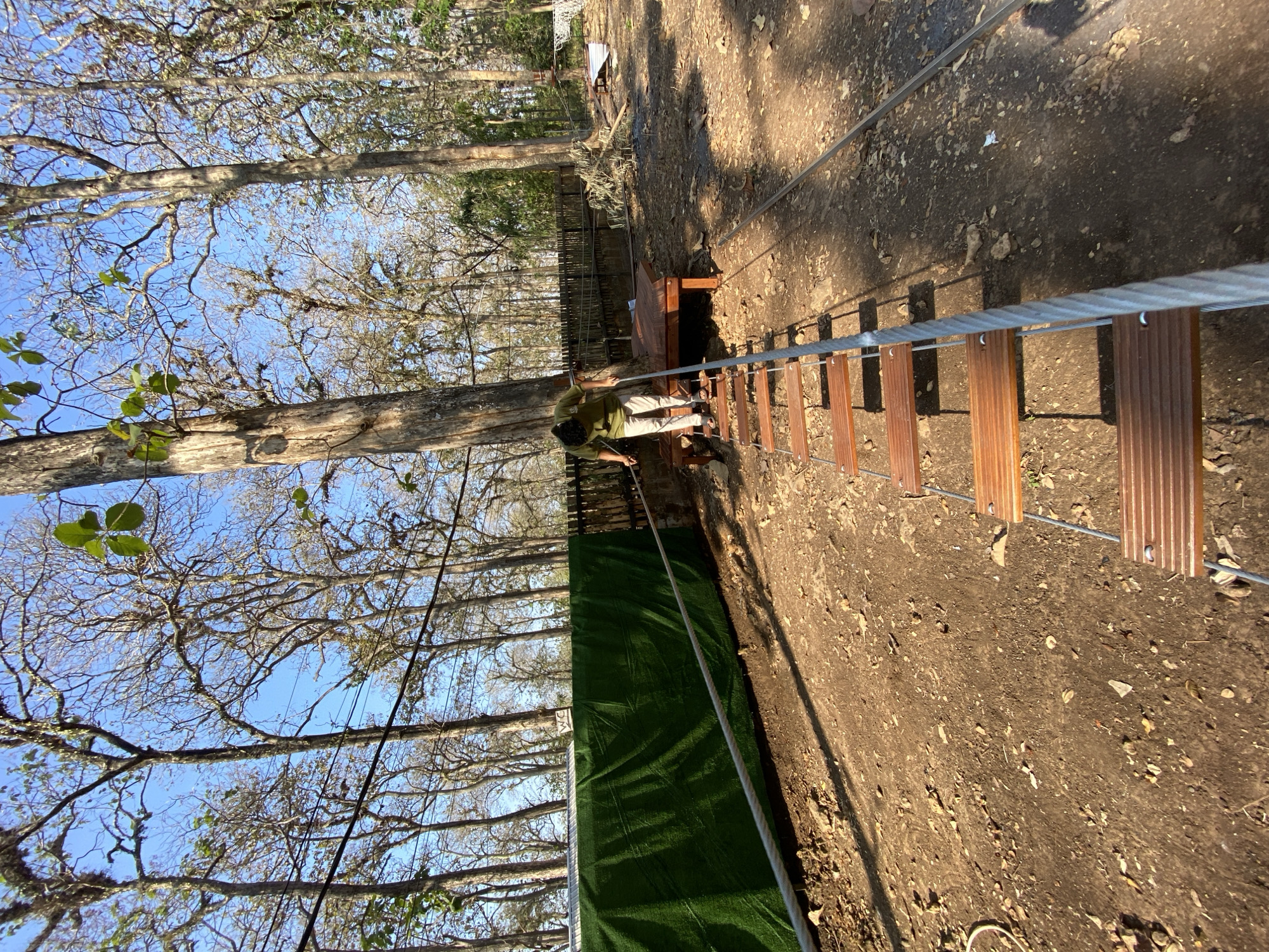 In Ketileng, Indonesia, a person is seen navigating a wooden and rope ladder suspended over a dirt path. The ladder leads to a wooden platform, which is partially visible. The scene is set in a wooded area with numerous tall, bare trees and a bright blue sky overhead. A large green fabric screen is set up on the left side of the image, and a wooden fence runs along the background. The ground is covered in dirt and fallen leaves, suggesting a dry environment. The lighting indicates it is daytime, with shadows cast by the trees and the ladder.