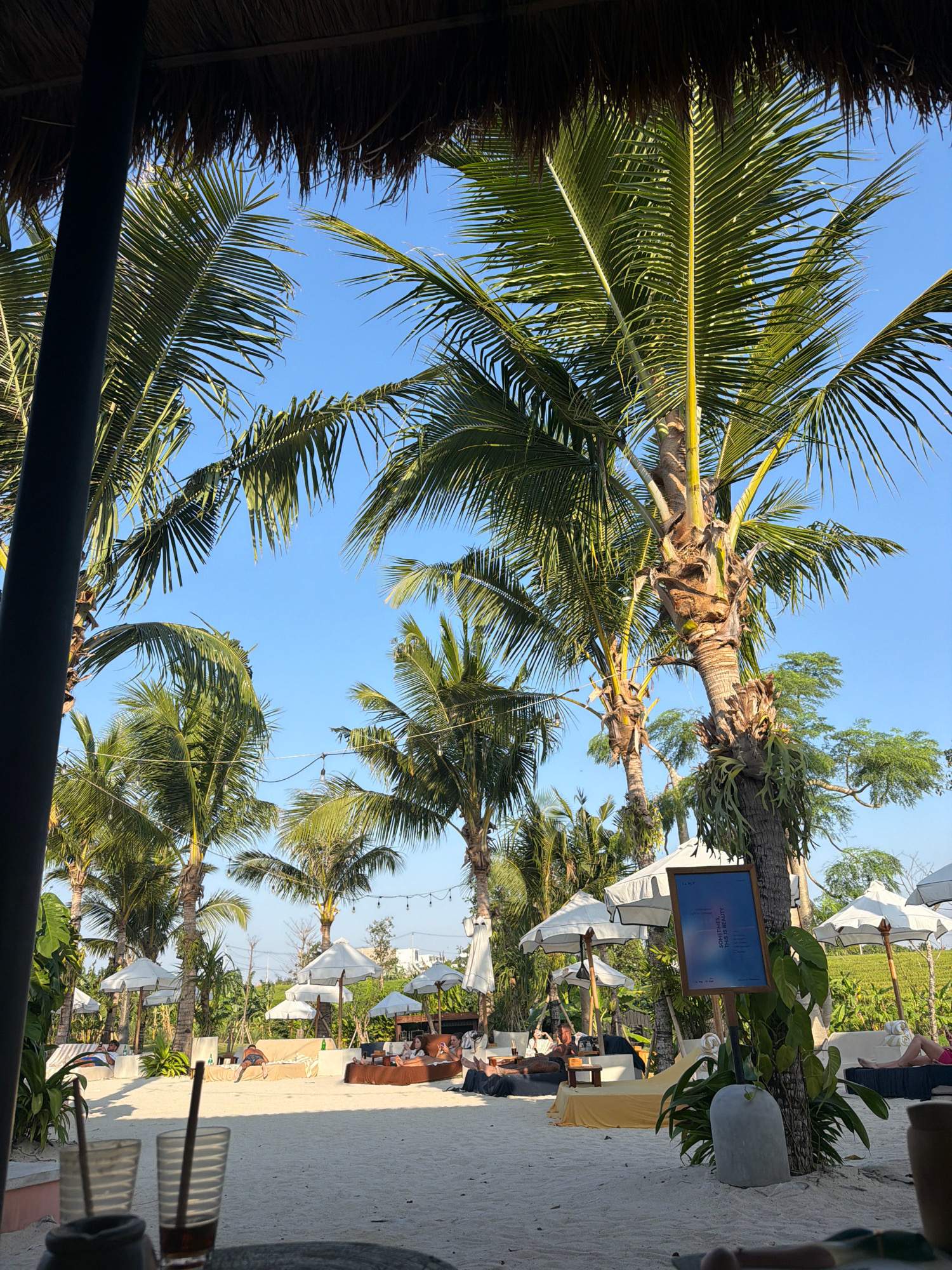 The image depicts a beachside resort or cafe in Mengwi, Indonesia, characterized by a sandy expanse dotted with lounge chairs and white umbrellas. Lush palm trees dominate the scene, their fronds reaching towards a clear blue sky. In the foreground, two glasses with striped straws are placed on a surface, suggesting a relaxed dining or drinking experience.
Several people are visible lounging on chairs and cushions, some appearing to be resting or sunbathing. One person is lying on a yellow cushion, another on a brown cushioned area, and a few individuals are seated.
A sign with text in a blue frame is propped up near a palm tree, its content not fully legible but possibly indicating menu information or resort details. The overall ambiance is one of leisure and tropical relaxation, with the natural elements of sand and palm trees complemented by the resort's amenities. The presence of string lights suggests the area may also be used in the evening. The background shows more greenery, hinting at the surrounding tropical landscape.