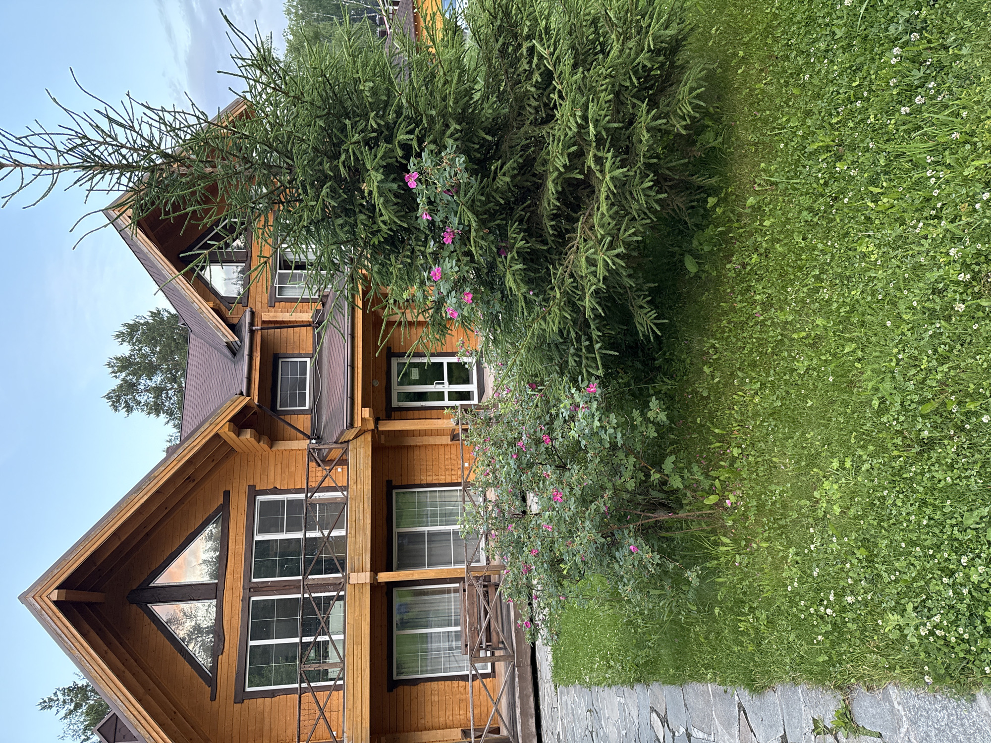 A two-story wooden house with a brown roof stands in the city of Syrostan, Russia. The house has several windows, including a triangular window on the upper level. A balcony with a wooden railing extends across the front of the house on the second floor. In front of the house, a large evergreen tree stands tall, with a bush of pink flowers growing in front of it. A stone path leads to the house, and the ground is covered with green grass and small white flowers. The sky is a pale blue with some clouds.