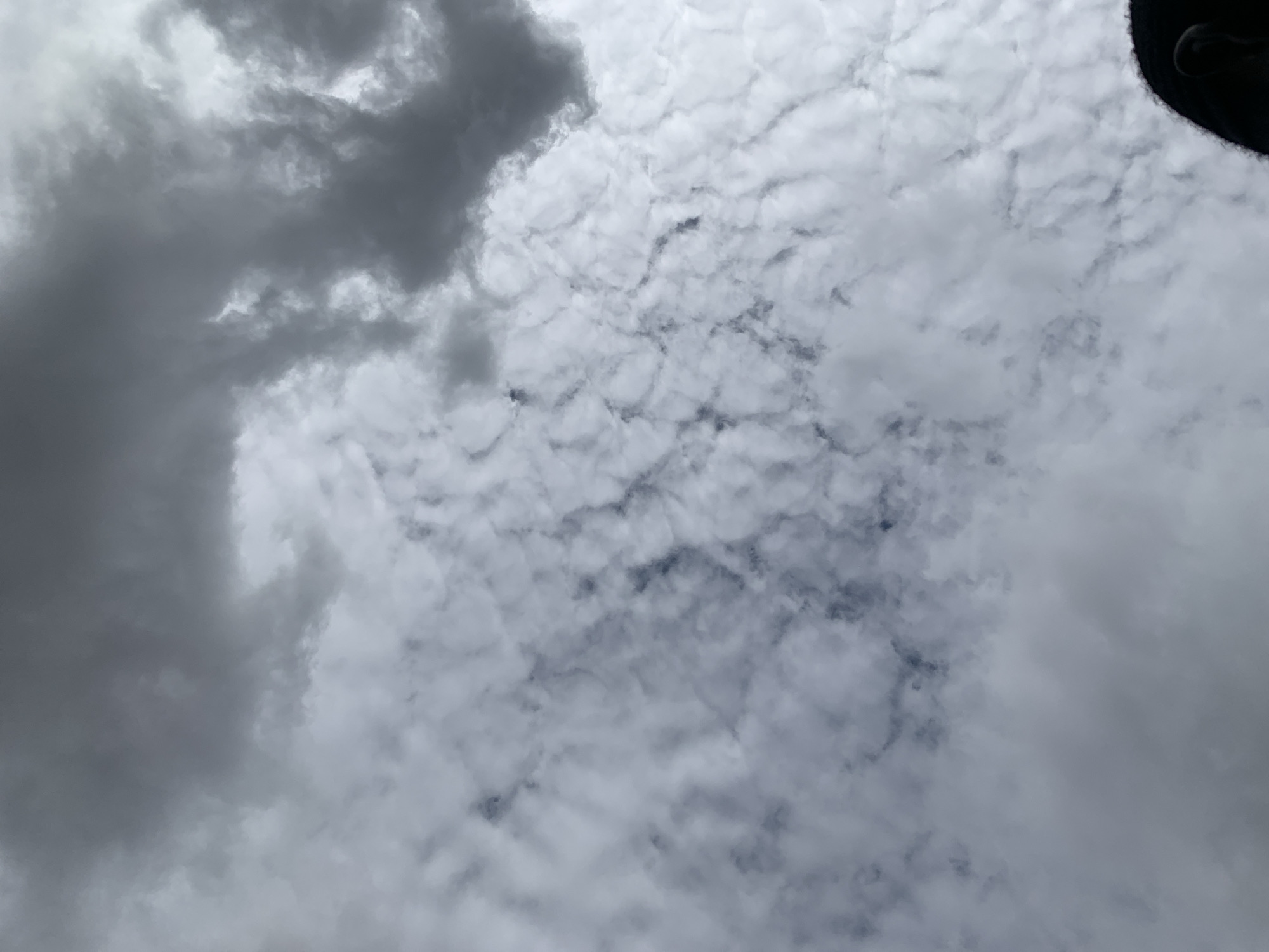 The image displays an overcast sky above the city of New Stadium, Nigeria. The upper portion of the frame is dominated by a dense formation of dark gray clouds, exhibiting a heavy texture. Below this, the sky features an extensive layer of lighter, more fragmented white and light gray clouds, presenting a rippled or cellular pattern. Darker, diffuse patches of gray are visible between these lighter cloud formations. In the bottom-right corner, a dark, curved object, consistent with the top of a human head or ear, is partially visible, indicating a perspective looking upwards from ground level.