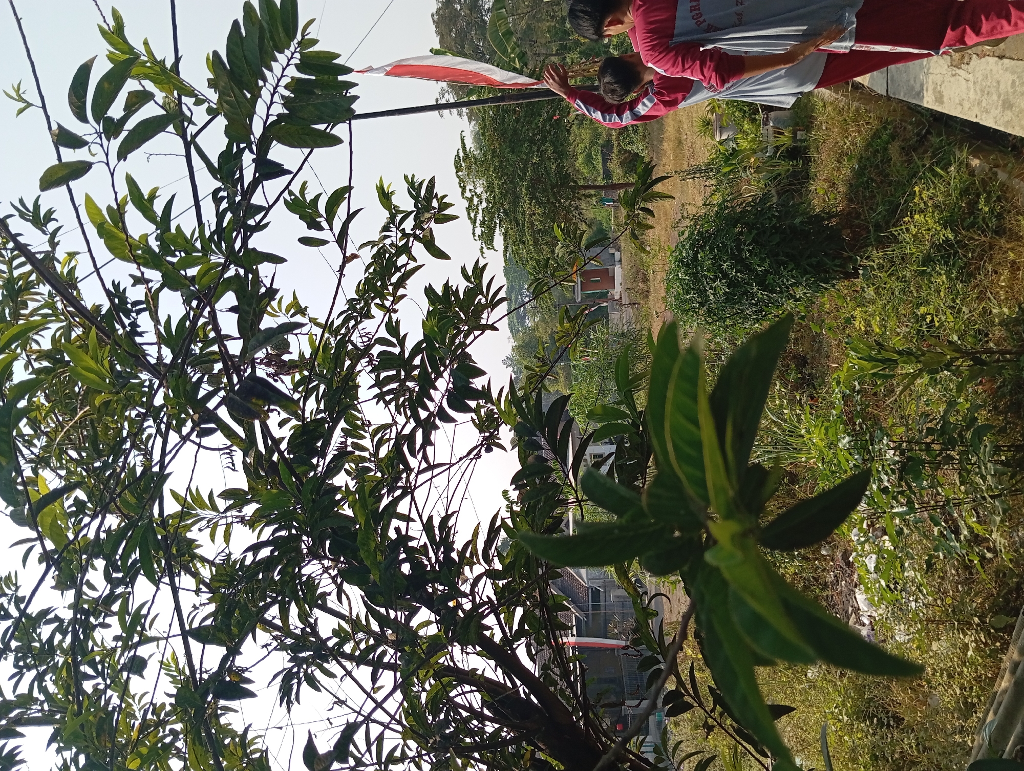 The image shows two individuals in the foreground, wearing red and gray school uniforms, standing near a flagpole with an Indonesian flag. They appear to be in an outdoor setting, possibly a schoolyard or a public space in Pandaan, Indonesia. The background features lush greenery, trees, and buildings. The sunlight suggests it's daytime. The overall scene depicts a moment of national pride or ceremony.