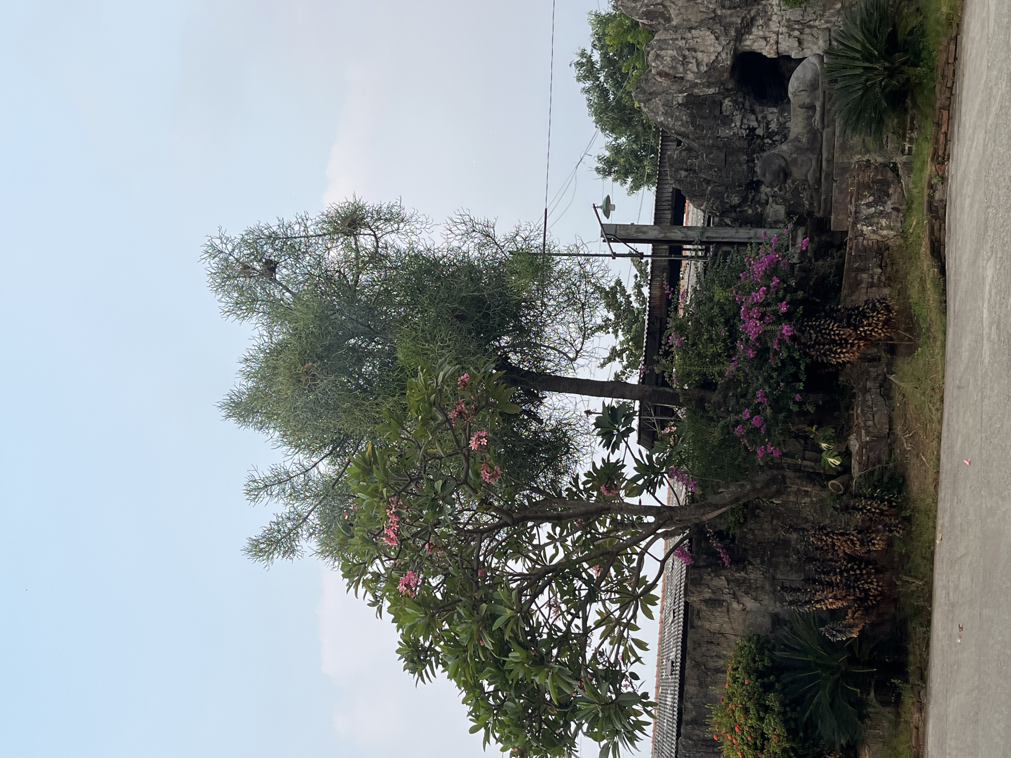The image depicts an outdoor scene with a gray concrete ground in the foreground. Behind it, a low brick wall separates the ground from a slightly elevated area with vegetation and stone structures. Lush green trees and bushes are visible, with a frangipani tree bearing pink flowers to the left and a spiky green tree to its right. In the background, a building with a gray corrugated roof and a stone wall are present. To the right, a rocky formation features a dark opening, resembling a cave. A stone sculpture of a reclining animal, possibly a lion, is placed on a stone pedestal in front of the rocky opening. A vintage-style lamp post with a green shade stands to the left of the rocky formation. The sky above is a pale blue with some white clouds. The scene appears to be a garden or a historical site, possibly located in Pekalongan, Indonesia, given the architectural style and vegetation. There are no people or animals in the image.