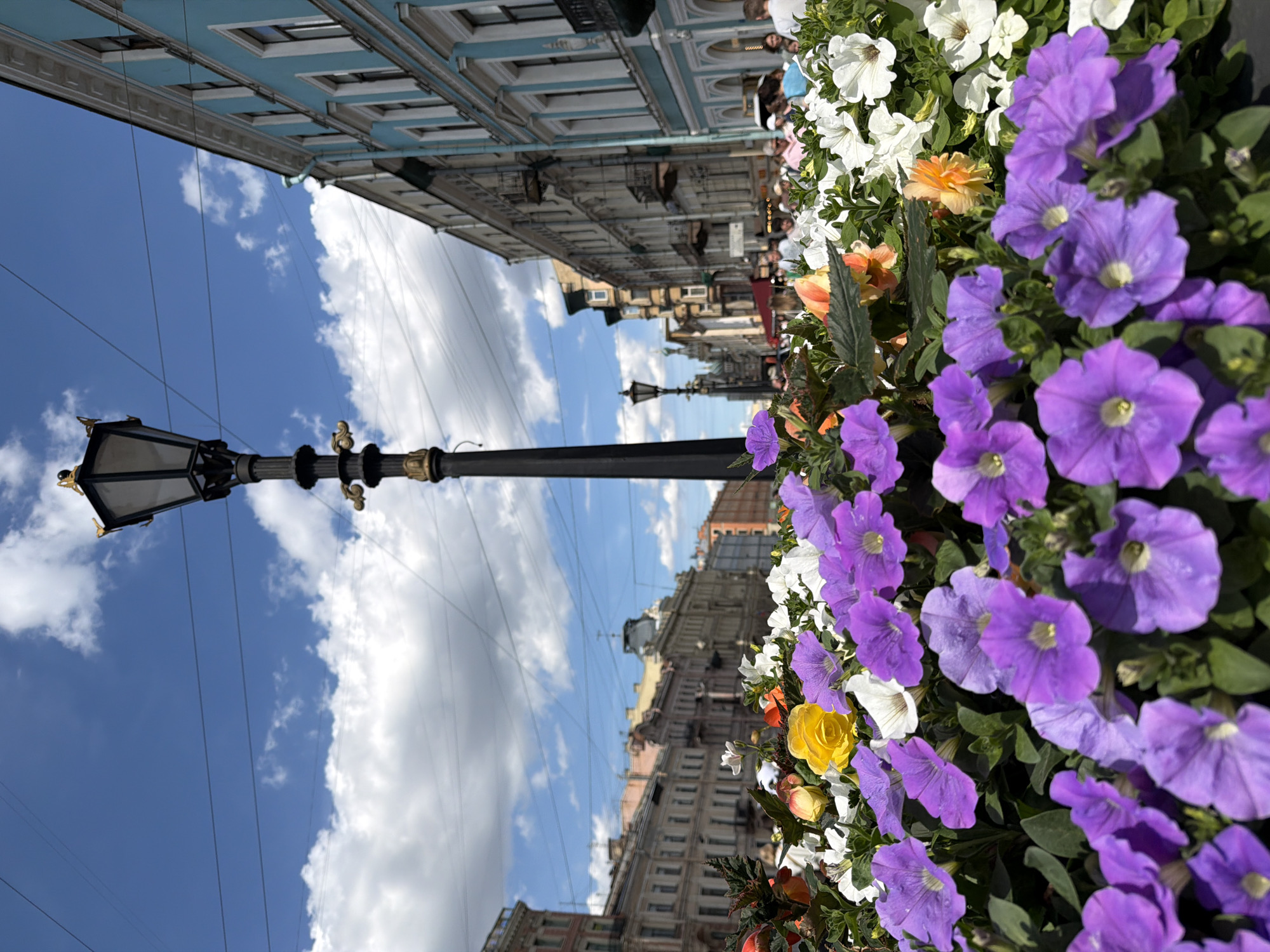 This is a low-angle, full-frame photograph of a flowerbed filled with purple petunias and other colorful flowers, positioned in the foreground. A tall, black lamppost with decorative gold accents stands in the center of the frame, rising towards a bright blue sky with scattered white clouds. In the background, there is a street scene with multi-story buildings lining both sides. On the right, a building is painted a striking turquoise color with white ornate trim. On the left, buildings are depicted in shades of beige and pink. The street appears to be a pedestrian area, with several people visible in the mid-ground, some walking and others gathered, suggesting a public space. The overall scene conveys a vibrant and lively urban atmosphere, likely a popular spot in Saint Petersburg, Russia, during pleasant weather.
