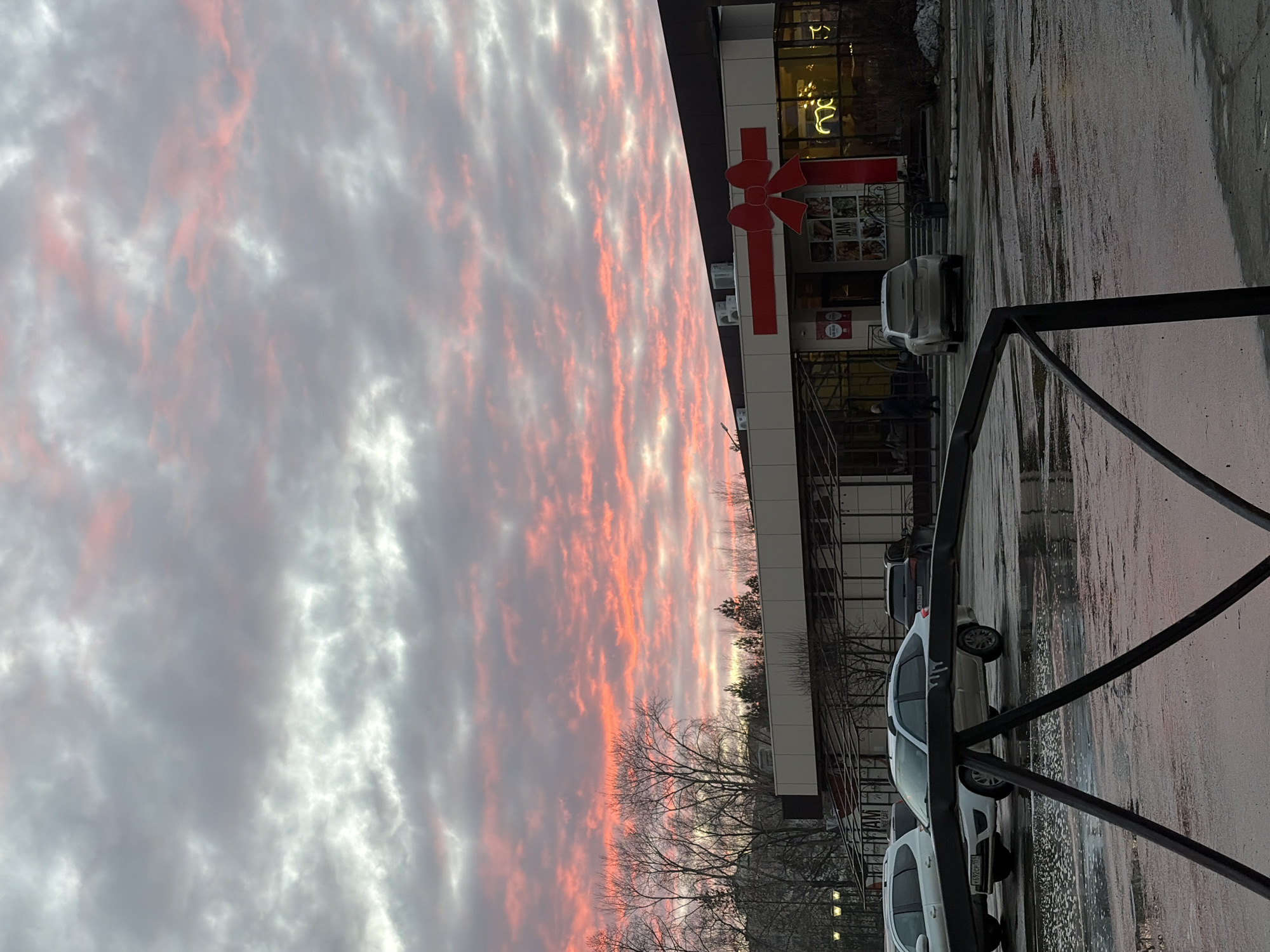 The image captures an outdoor urban scene at dusk in Chaikovsky, Perm Krai, Russia, featuring the JAM supermarket located at ul. Vokzalnaya, 45A. The sky is dominated by altocumulus clouds exhibiting distinct pink and orange hues against a grey background, indicative of a sunset.
The focal point in the midground is a single-story commercial building with a flat, dark roof and a light-colored facade, primarily composed of large glass windows. A prominent red bow decoration is affixed to the building's front, centered above an entrance. Partial signage reads "JAM," and illuminated interior signs are visible through the windows. Multiple air conditioning units are mounted on the roof.
The foreground consists of a wet asphalt parking lot, showing reflections of the sky and vehicles. Patches of melting snow or ice are evident, especially on the right side. Several cars are parked: a white SUV is partially visible on the far left, a white sedan (license plate У592СС 159) is in the center-left, another white sedan is further back, and a dark SUV is on the right.
One individual, dressed in dark attire, is observed near the building's entrance, appearing to walk. Bare deciduous trees are present on the left and behind the building, while coniferous trees are visible in the background on the right. Streetlights are visible on the far left. A black metal barrier or fence structure occupies the immediate foreground, partially obscuring the lower section of the parking lot.