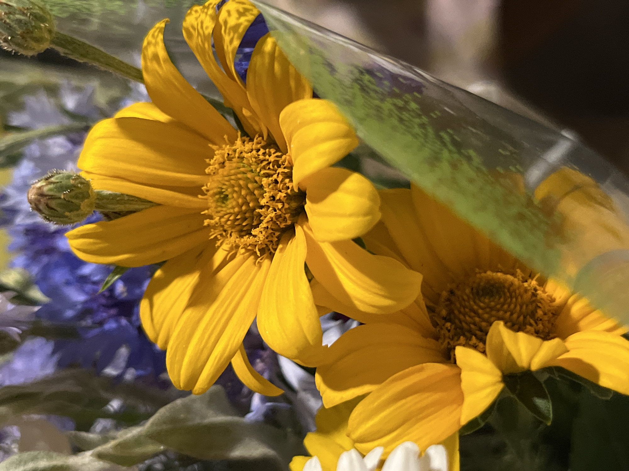The image shows a close-up of a bouquet of flowers. Prominently featured are bright yellow flowers with daisy-like petals and darker, textured centers. Among them, there are also some purple flowers and green foliage. The bouquet appears to be partially wrapped in clear plastic with some green leaves showing through. One of the yellow flowers has a bud that has not yet opened. The lighting suggests it may be indoors or in a shaded outdoor area. The image does not contain any contextual information that would allow for the identification of a specific location in the city of Dnipro, Ukraine.