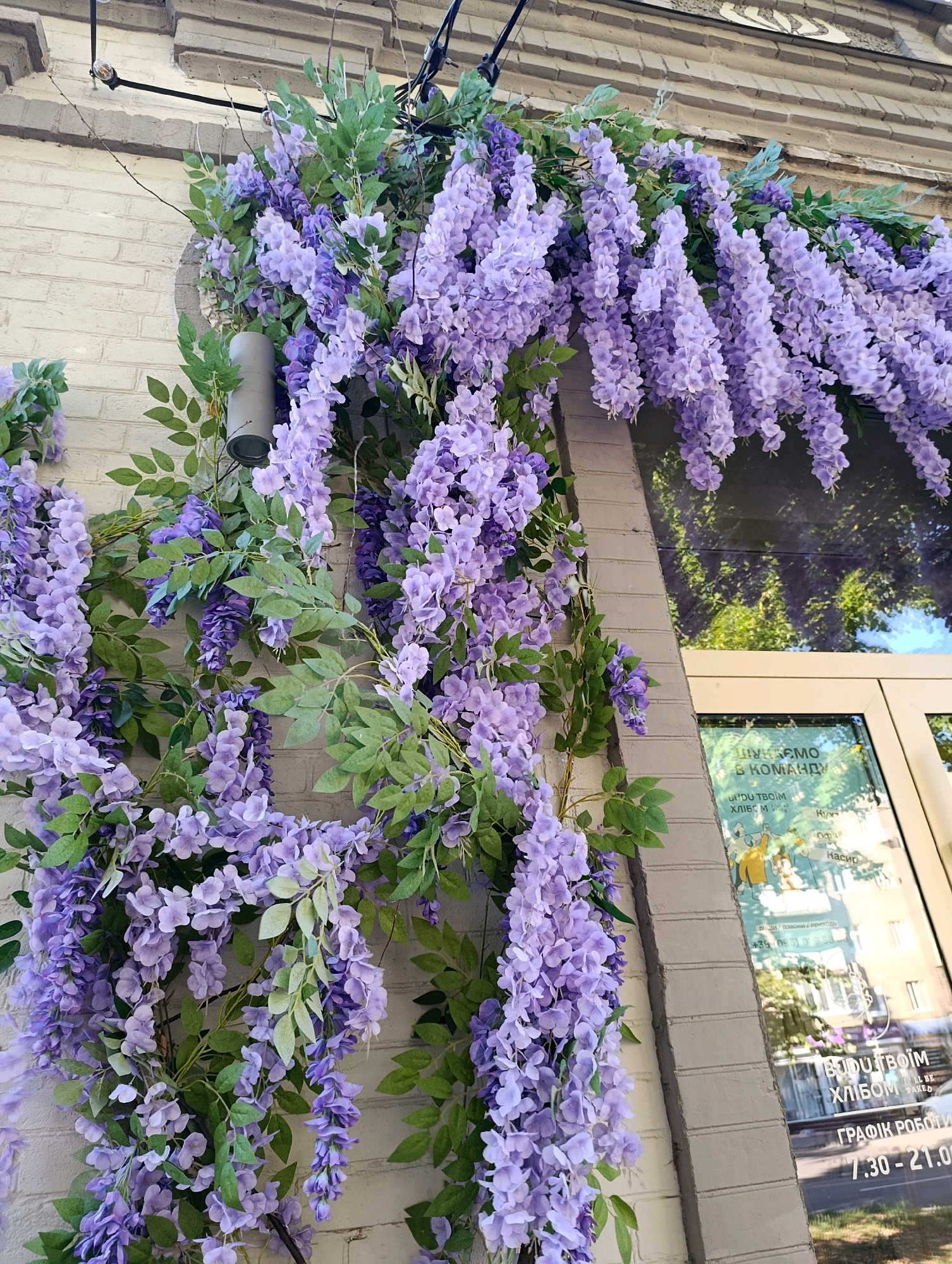 The image shows an exterior view of a building facade, likely a shop or cafe, in Cherkasy, Ukraine, adorned with abundant artificial purple wisteria. The wisteria cascades down from an overhang and wraps around a gray column or fixture attached to the brick wall. The wall itself is constructed of light-colored bricks with horizontal mortar lines.
A glass door or window is visible to the right, reflecting the surrounding environment, including trees and other buildings. Text is visible on the glass, which appears to be in Ukrainian, including the words "їмо", "хлібом", "Графік роботи", and numbers indicating working hours. The overall impression is one of floral decoration enhancing the building's exterior. No people or animals are present in the scene.