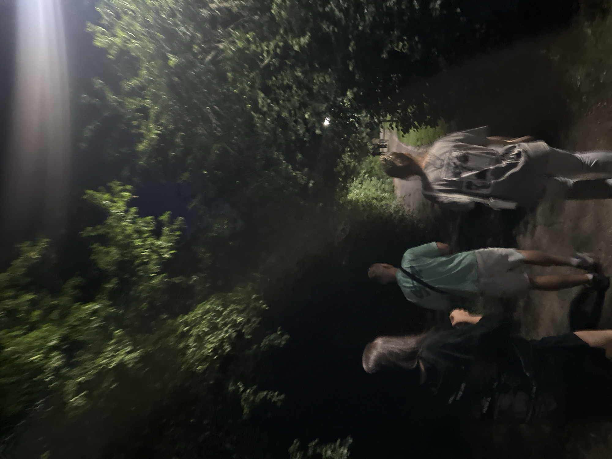 Three people are walking away from the camera down a dimly lit, wooded path at night. The person in the foreground on the left is wearing a black t-shirt and dark pants. The person in the middle is wearing a teal t-shirt and light-colored shorts. The person on the right is wearing a grey t-shirt and grey pants, with a white bag slung across their shoulder. Another group of people can be seen further down the path, illuminated by a distant streetlight. The path is flanked by dense trees and foliage, with patches of grass visible. The scene appears to be in a park or natural area.
