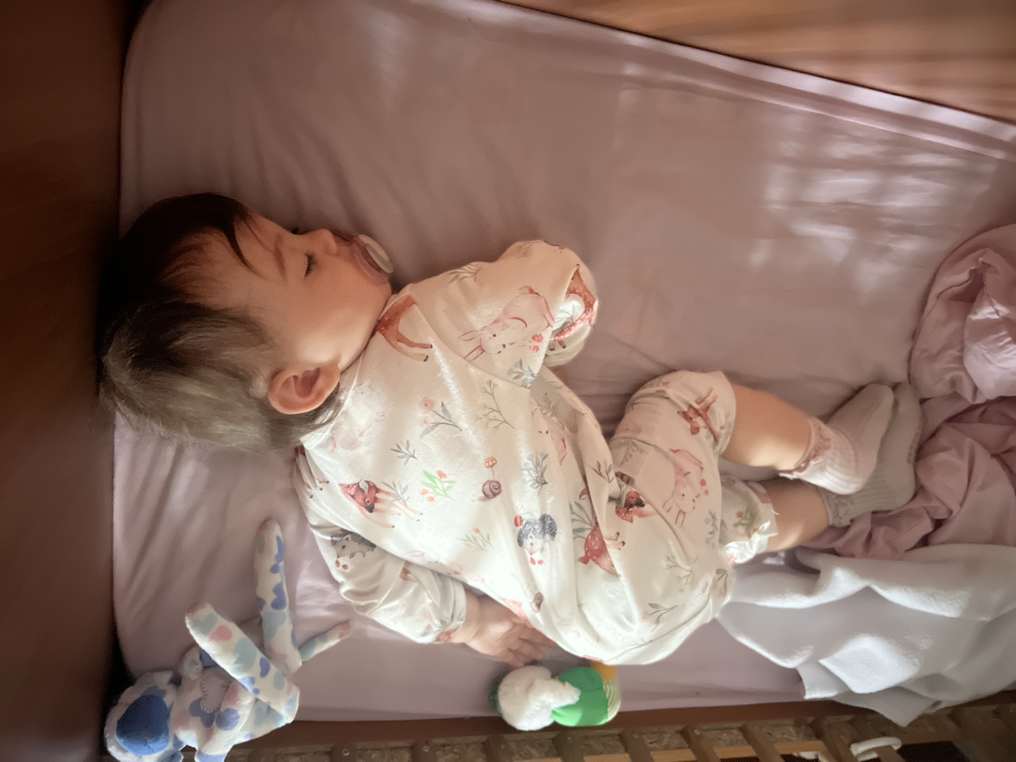 A baby is sleeping in a crib. The baby is wearing a white onesie with a pattern of animals, and white socks. The baby has a pacifier in their mouth. There is a blue and white stuffed animal and a small plush toy in the crib. The crib is in a room with wooden furniture. The location is Elena, Bulgaria.