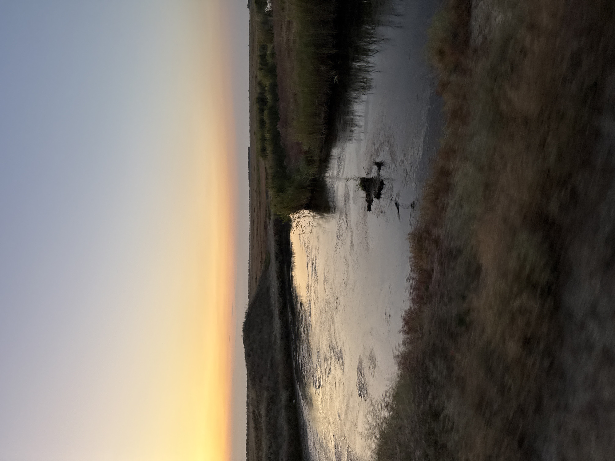 The image depicts a serene natural landscape at dawn or dusk, characterized by a wide expanse of water surrounded by marshy vegetation and a flat horizon. The sky is a gradient of soft colors, transitioning from a pale yellow and orange near the horizon to a light blue at the top. A body of water occupies the mid-ground, reflecting the muted sky colors and the surrounding reeds. The water's surface appears somewhat disturbed, with ripples and patches of dark sediment or algae. In the foreground, blurred vegetation suggests movement, possibly from wind or a moving vehicle. The overall impression is one of quiet natural beauty, with no signs of human habitation or activity visible within the frame, except for a faint white object that could be a bird or a distant structure in the far right background. The location is identified as Урожайновское сельское поселение, Ukraine.