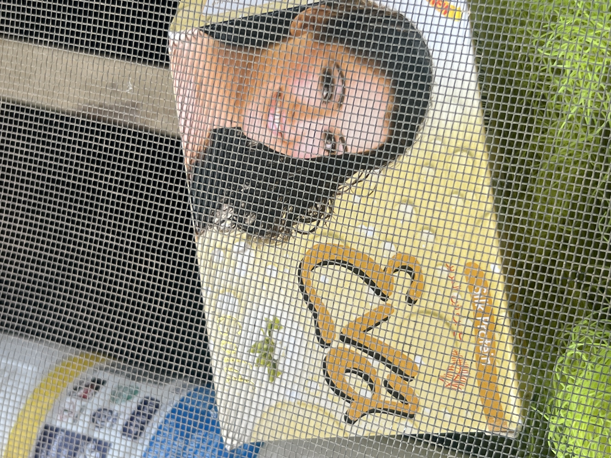 The image shows a magazine cover with a woman's face featured prominently. The magazine is lying on a yellow surface with large orange lettering that appears to spell out "ROD". The woman's face is upside down and her mouth is open, suggesting she might be speaking or laughing. Behind the magazine, a blue and white object is partially visible. The entire scene is viewed through a mesh screen, which creates a grid pattern overlaying the image. Green foliage is visible at the bottom of the frame, suggesting an outdoor setting. There is no specific information in the image that indicates a location in Jauro Yinu, Nigeria.