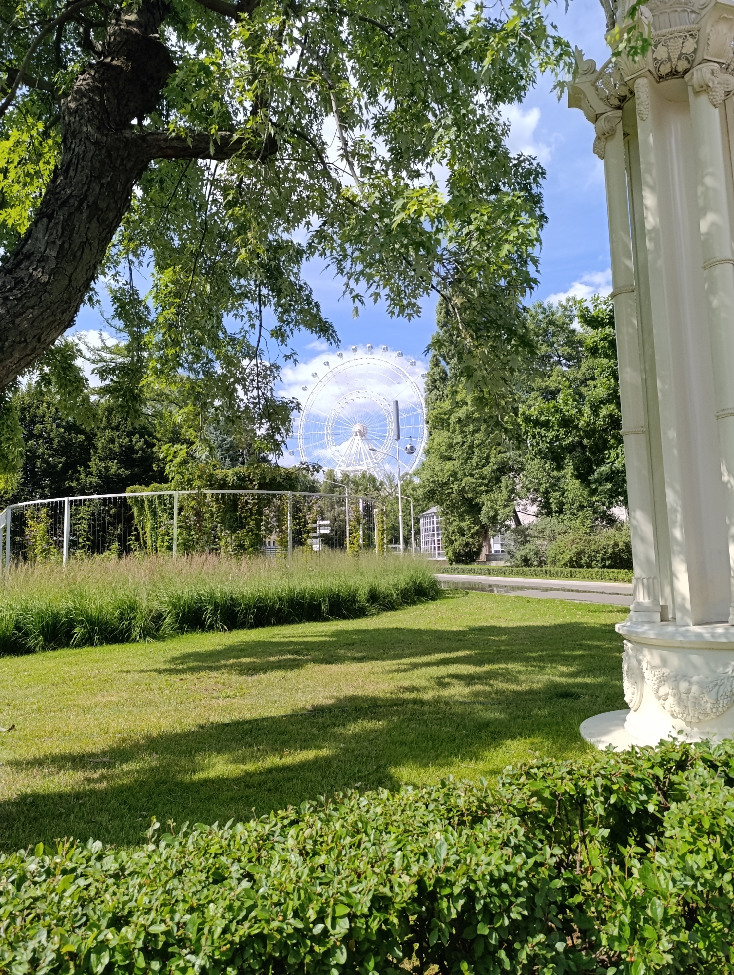 The image depicts a sunlit scene in a park, with a large Ferris wheel visible in the distance. The foreground features a well-maintained green lawn bordered by manicured hedges. To the right, a section of a white, ornate classical-style structure, possibly a pavilion or colonnade, is visible. A large tree with lush green foliage dominates the left side of the frame, casting dappled shadows on the grass. Beyond the lawn, a white metal fence encloses an area with tall, wispy grasses and some low-lying bushes. Behind this, a cluster of trees forms a green backdrop, with the prominent white Ferris wheel rising above them against a blue sky with scattered white clouds. The overall impression is one of a peaceful recreational area on a bright day. This scene is consistent with the area surrounding the Ferris wheel in VDNKh park in Moscow, Russia. No people are visible in the image.