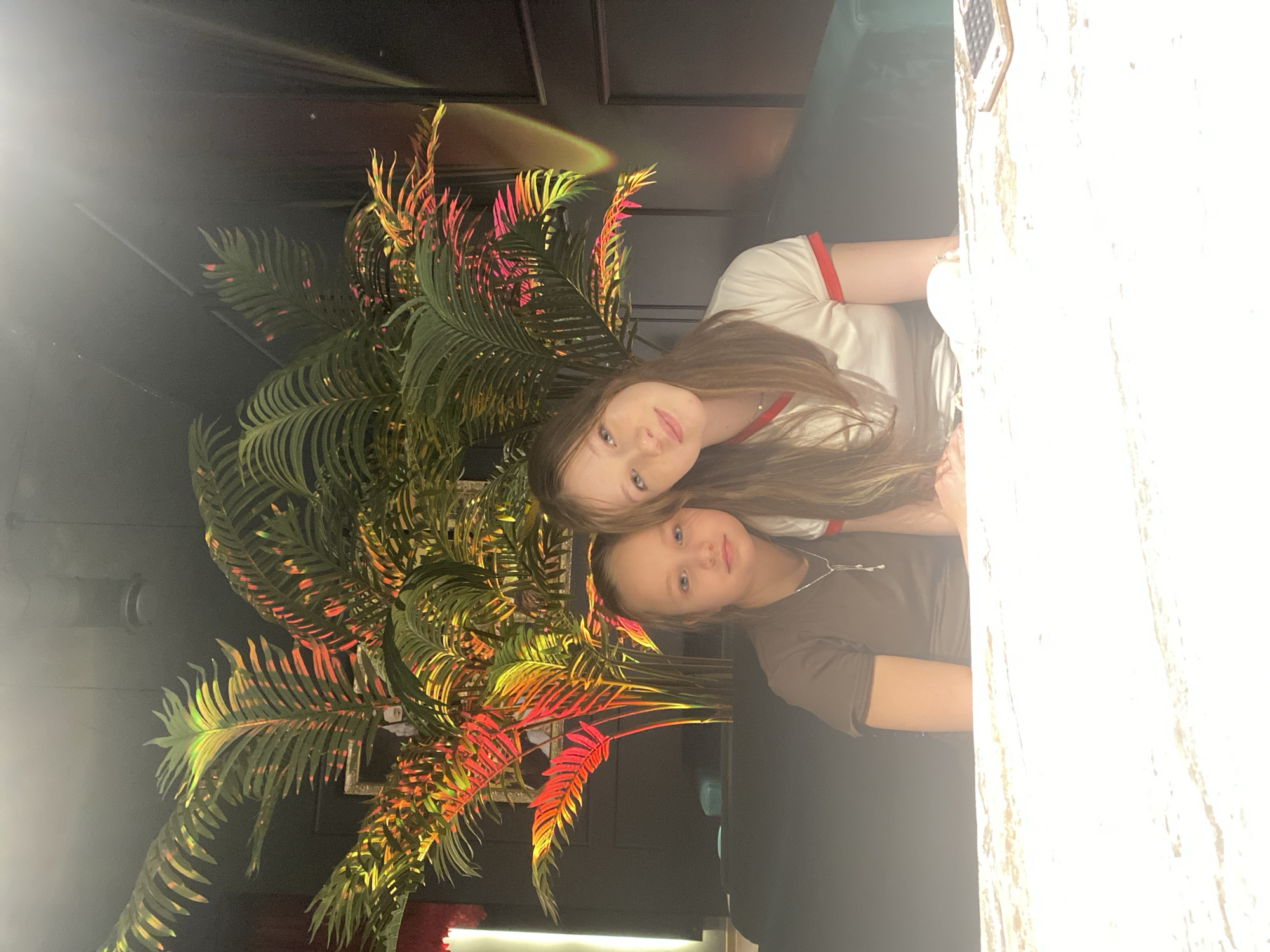 This portrait features two young girls posing in an indoor setting in Chaikovsky, Russia. The image is rotated 90 degrees counter-clockwise from its intended orientation. When viewed correctly, an older girl with long, light brown hair and light eyes is positioned behind and slightly to the left of a younger girl. The older girl wears a white t-shirt with red trim on the collar and sleeves, while the younger girl wears a dark brown or olive-colored t-shirt and a silver necklace. Both girls are looking directly at the camera with neutral to slight smiles, indicating they are posing for the photograph.
A large, leafy plant, resembling a palm or fern, is prominently featured behind and to the left of the girls. Its dark green foliage is illuminated by colorful artificial lights, creating vibrant red, orange, and yellow hues on its leaves, giving it a decorative and dramatic appearance. The background behind the plant is dark and indistinct, suggesting a dimly lit interior space with a dark, paneled ceiling.
The right side of the image is dominated by a very bright, overexposed white surface, which appears to be a textured wall or partition, possibly made of stone or a similar material, with some beige or brown variations. A strong light source from the left creates a significant lens flare effect that contributes to the overexposure on the right. A small, dark object with a grid pattern, possibly a smartphone, is partially visible near the top right edge of this bright surface. The overall lighting is atmospheric, emphasizing the subjects and the illuminated plant. There is no visible text in the image.