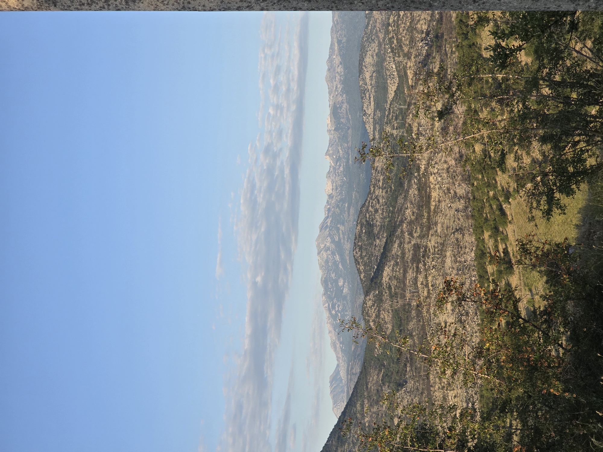 A vertical, eye-level, medium shot captures a vast mountainous landscape under a clear blue sky, dotted with a few scattered white clouds. In the foreground, the branches of several trees, some with small, reddish-brown fruits, extend into the frame from the bottom and sides, partially obscuring the view of the distant mountains. The trees are leafy and green, with some dry branches visible.
The midground features rolling hills covered in sparse vegetation and rocky terrain, with visible signs of human infrastructure such as power lines and pylons. The hills descend into a valley where more trees and vegetation are present, with a winding path or road visible.
The background is dominated by a range of majestic mountains, their peaks appearing rugged and rocky. The color palette is predominantly earthy tones of brown, green, and gray, contrasted by the vivid blue of the sky. A large, textured stone pillar occupies the right edge of the frame, adding a framing element to the natural scenery. The lighting suggests it is either early morning or late afternoon, with soft shadows cast across the landscape.
