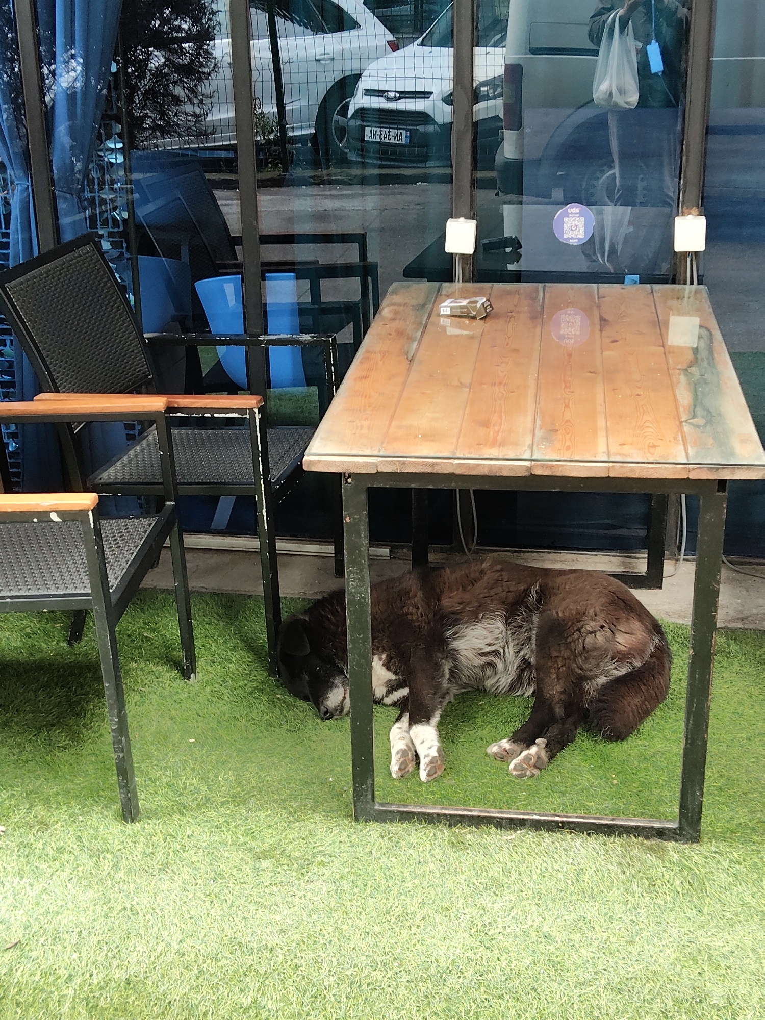 The image shows a dog sleeping under a table on artificial grass in what appears to be an outdoor seating area in Batumi, Georgia. The dog is dark brown and black with white paws. A pack of cigarettes sits on the table. Through the glass wall, vehicles are visible parked on a street.