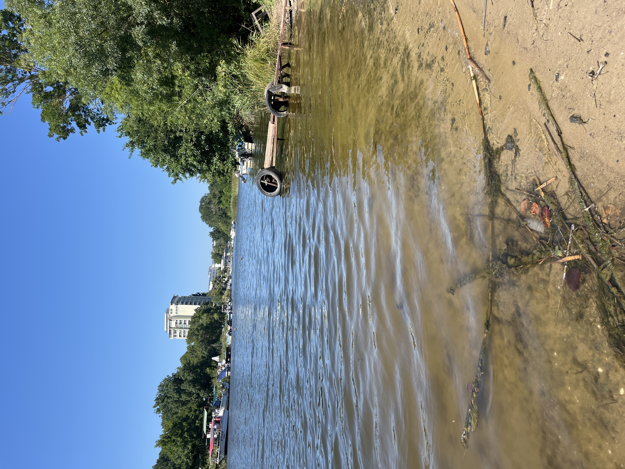 The image depicts a sunny day scene on the shore of the Black Sea, near the town of Primorsko, Bulgaria. The foreground shows a sandy beach with some debris, including branches, leaves, and what appears to be discarded plastic. The water is clear and shallow near the shore, with visible submerged vegetation and sand.
In the mid-ground, a partially submerged boat trailer with two old tires is visible in the water. Further out on the water, several boats are docked or anchored along the opposite bank. These boats vary in size and type, with some appearing to be small fishing vessels and others larger passenger boats.
The background features a dense line of green trees and vegetation along the shore. Beyond the trees, a tall, white building with multiple balconies is visible, suggesting the presence of a hotel or apartment complex. The sky is clear and blue, indicating good weather conditions. The overall impression is a tranquil waterside scene with a mix of natural elements and human activity.