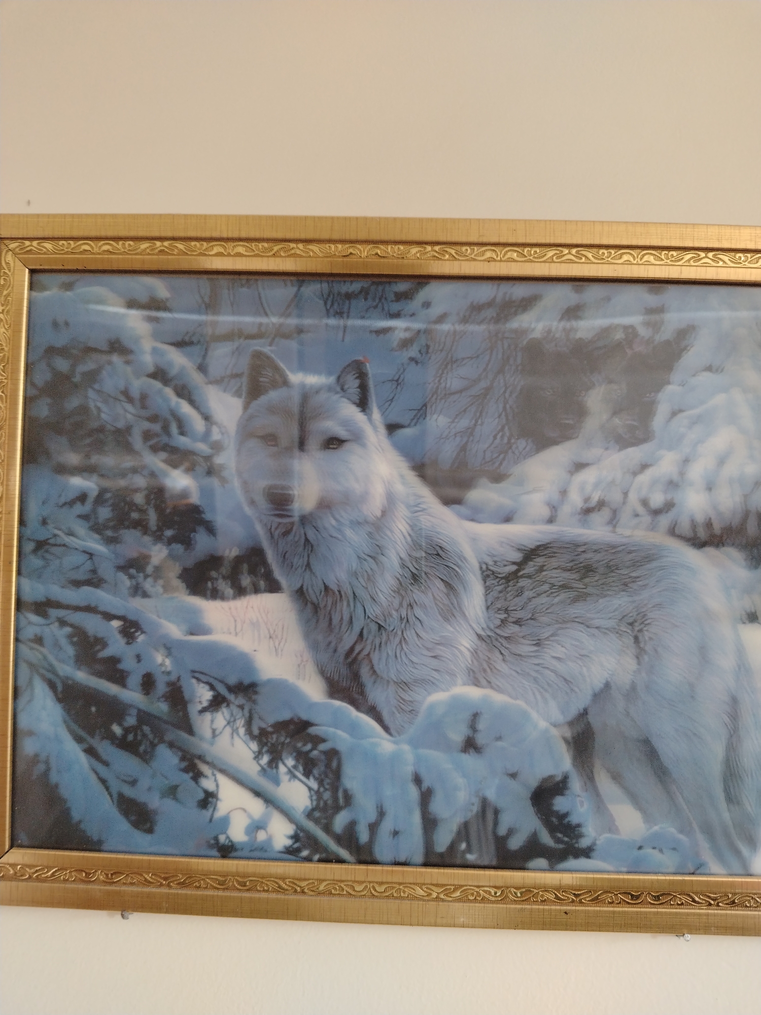 The image is a framed print of a wolf in a snowy forest. The wolf is white with grey markings and is looking towards the viewer. The forest is covered in snow, with bare tree branches visible in the background. The frame is gold and ornate. The location of this image is not provided in the image.