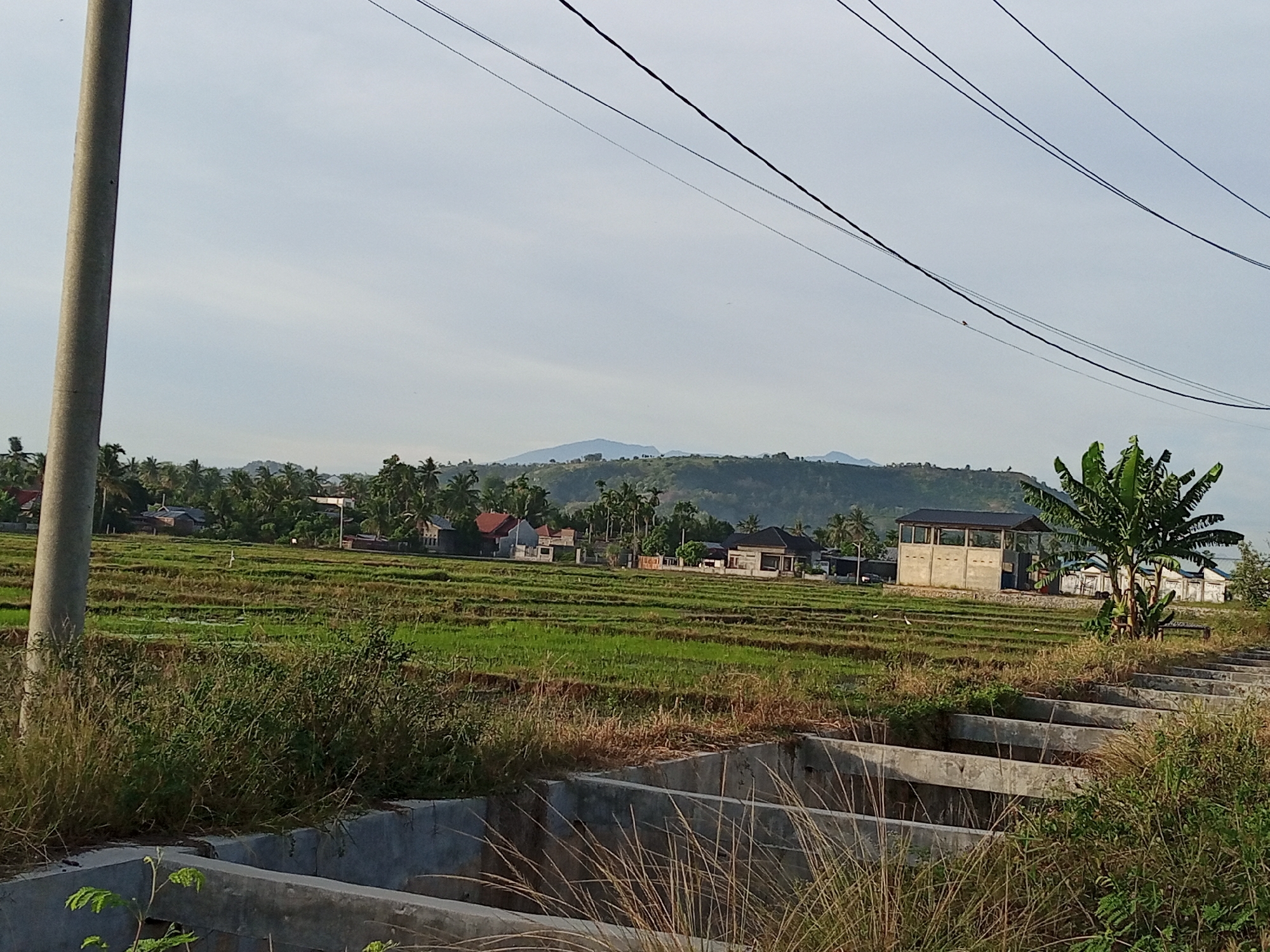 The image captures a rural landscape in Geulangganggampong, Indonesia. In the foreground, construction foundations made of concrete are visible, overgrown with dry grass and some green foliage. A utility pole stands prominently on the left side of the frame. The midground features lush green rice paddies, arranged in terraces, with scattered houses and palm trees visible in the distance. Several buildings, including what appears to be a concrete structure with glass windows and a banana tree, are situated near the edge of the rice fields. Beyond the immediate agricultural area, rolling hills and mountains form the backdrop under a pale, overcast sky. Overhead, power lines crisscross the scene. No people are present in the image.