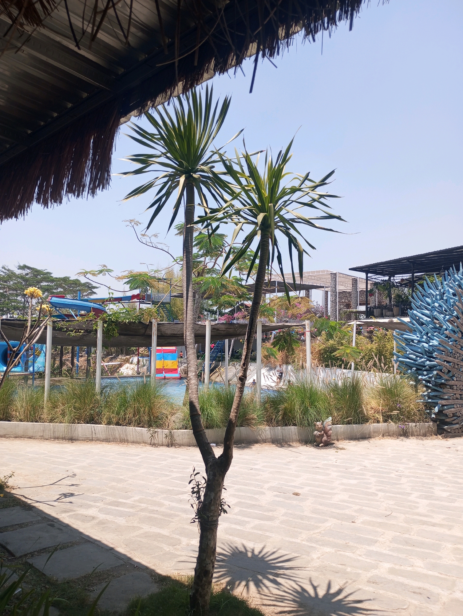 The image captures a sunny day at a water park in Ponggok, Indonesia. In the foreground, a young tree with a bifurcated trunk stands on a paved walkway made of light-colored rectangular stones. Shadows of palm fronds are cast on the ground. To the left, a thatched roof structure extends from the top of the frame, partially obscuring the sky.
Beyond the walkway, a swimming pool with clear blue water is visible, bordered by lush green grass and reeds. In the background, various water park attractions are present, including colorful water slides with red, blue, and yellow sections. Buildings with open-air covered structures and stone pillars are also visible, suggesting areas for seating or dining. A tall, blue artistic sculpture made of stacked cylindrical objects stands to the right side of the frame. The sky is clear and pale blue.
