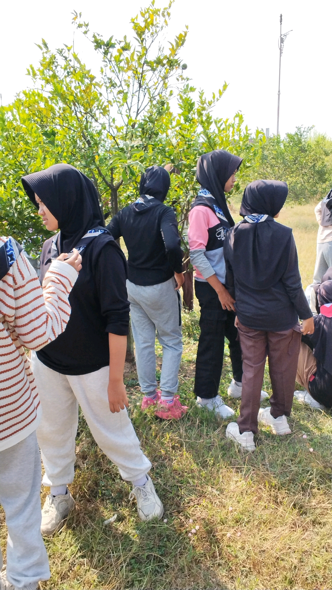 In Mojokerto, Indonesia, a group of individuals, likely teenagers, are gathered outdoors near a tree with vibrant green foliage. The scene appears to be in a grassy, unpaved area, possibly a park or rural setting.
Several individuals are wearing hijabs, suggesting a cultural context. Their attire includes casual clothing such as hoodies, track pants, and sneakers, appropriate for an outdoor activity. One person on the left is wearing a striped long-sleeved shirt and light-colored track pants. Another person in the center is in a black hoodie and light gray track pants. To their right, a person wears a pink and gray hoodie with black cargo pants. Further to the right, another individual is dressed in a dark hoodie and brown trousers. In the background, a lamppost is visible, and the sky is bright, indicating daytime. The overall impression is of a casual, relaxed outdoor gathering or activity.