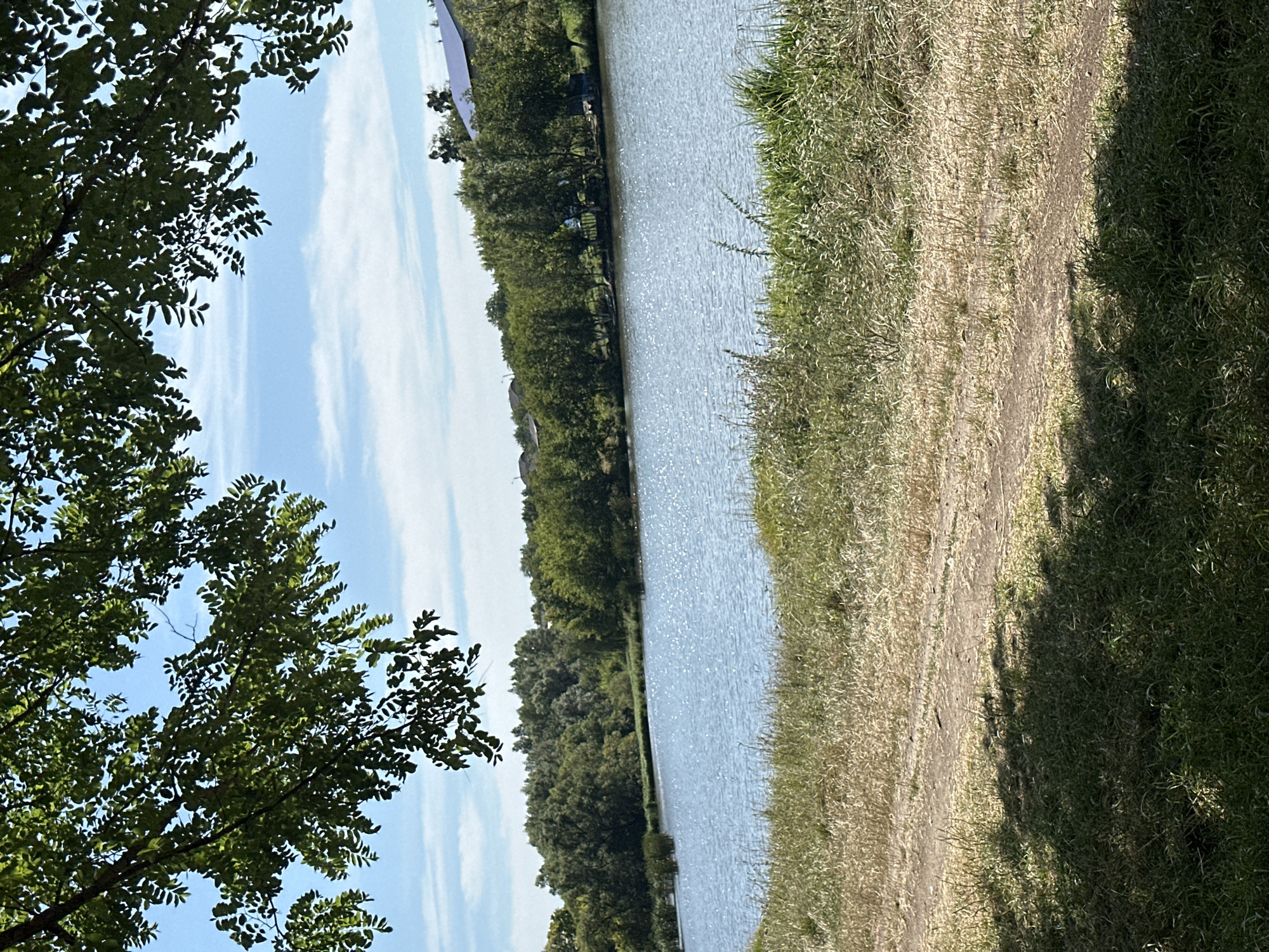 The image shows a sunlit body of water, likely a river or lake, with a tree-lined shore in the background. The sky is blue with scattered white clouds. In the foreground, there is a path made of dirt and dry grass, with shadows of trees cast upon it. The overall impression is a natural landscape scene. The location provided is Makiv, Ukraine.