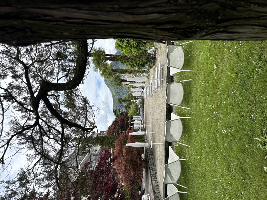 The image shows a view of a beach area in Feriolo, Italy (latitude: 45.929, longitude: 8.484). The scene is framed by a large tree trunk on the right side of the image. In the foreground, there is a row of white lounge chairs positioned on a grassy lawn. There is also a path, possibly made of sand or gravel, running through the middle of the image. This path is lined with white beach umbrellas and is situated between the chairs and a line of trees and bushes. In the background, there are trees, a building, and a hillside with a view of a lake or sea in the distance. The sky is partly cloudy. The trees in the foreground are lush and green, while the tree in the background is bare. The image conveys a sense of relaxation and tranquility.