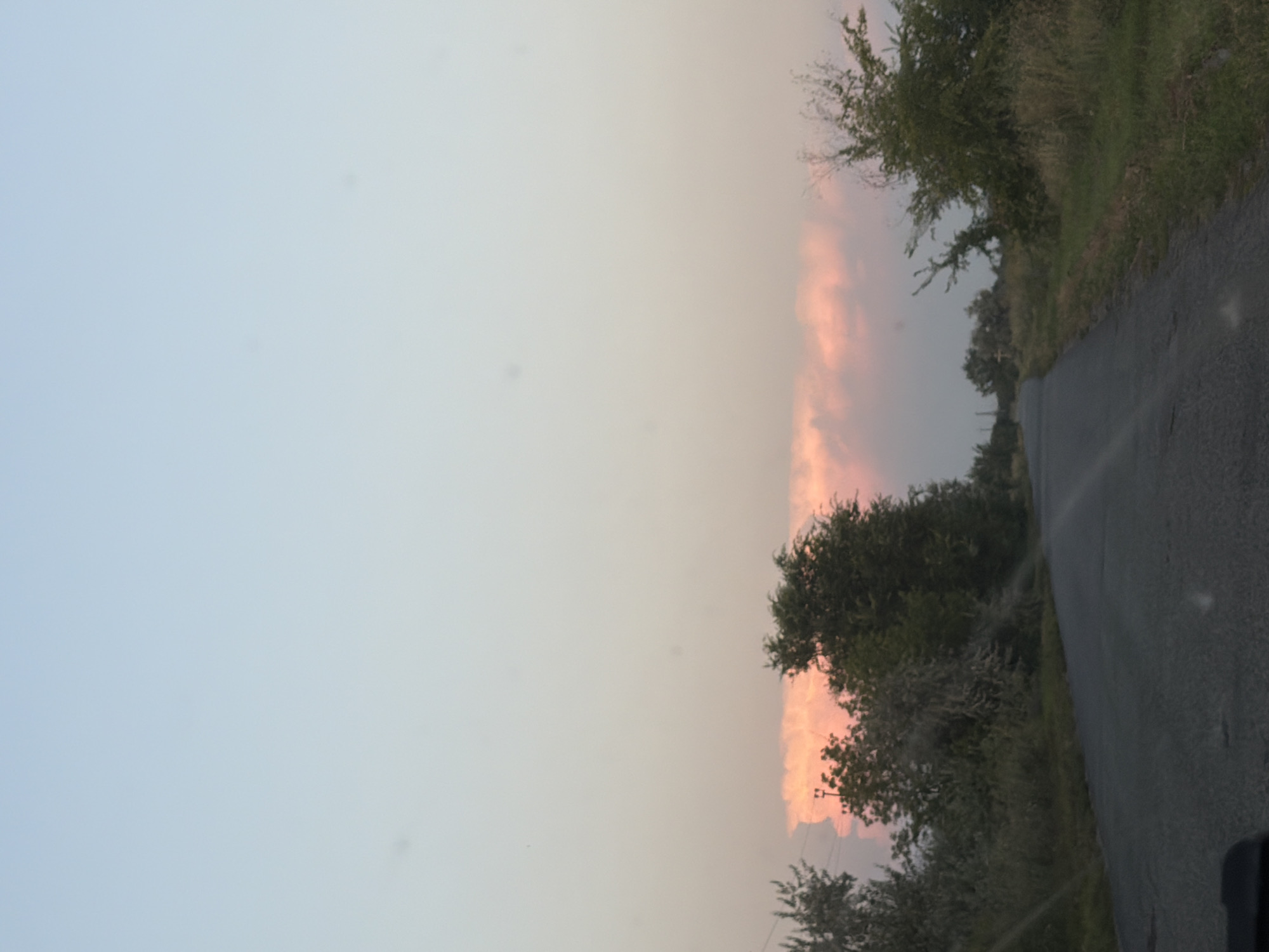 This image depicts a road curving through a rural landscape near Novoselivka, Ukraine, under a sky transitioning from a pale blue to a soft pink hue, indicating either sunrise or sunset. Dense green foliage and trees line the sides of the road, with some appearing to be in a dry, autumnal state. The road itself is paved and appears to be in moderate condition, with some cracks and imperfections visible. The overall atmosphere is one of natural serenity, with no visible signs of human presence or activity. The environment appears to be sparsely populated, with the road serving as the primary man-made element in an otherwise wild landscape. The quality of light suggests a peaceful, possibly twilight, setting.