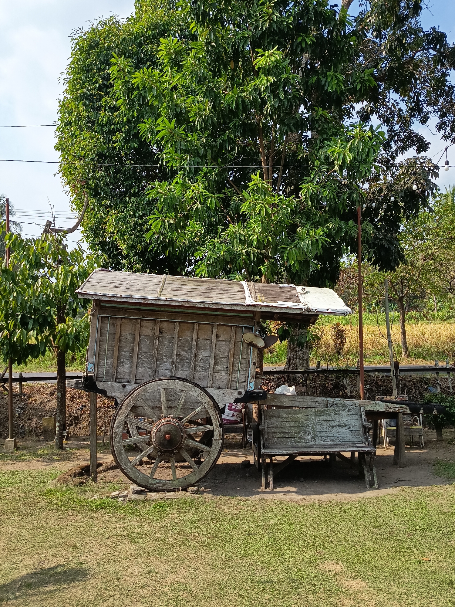 A weathered wooden cart with a canvas roof is parked on a grassy area in Sleman, Indonesia. The cart has a single large spoked wheel and appears to be old and rustic. To the right of the cart, a wooden bench is visible, also showing signs of age and weathering. In the background, lush green trees, a field of dry grass, and a blue sky with some clouds create a rural Indonesian landscape. The scene suggests a quiet, outdoor setting, possibly a park or a rural roadside attraction.