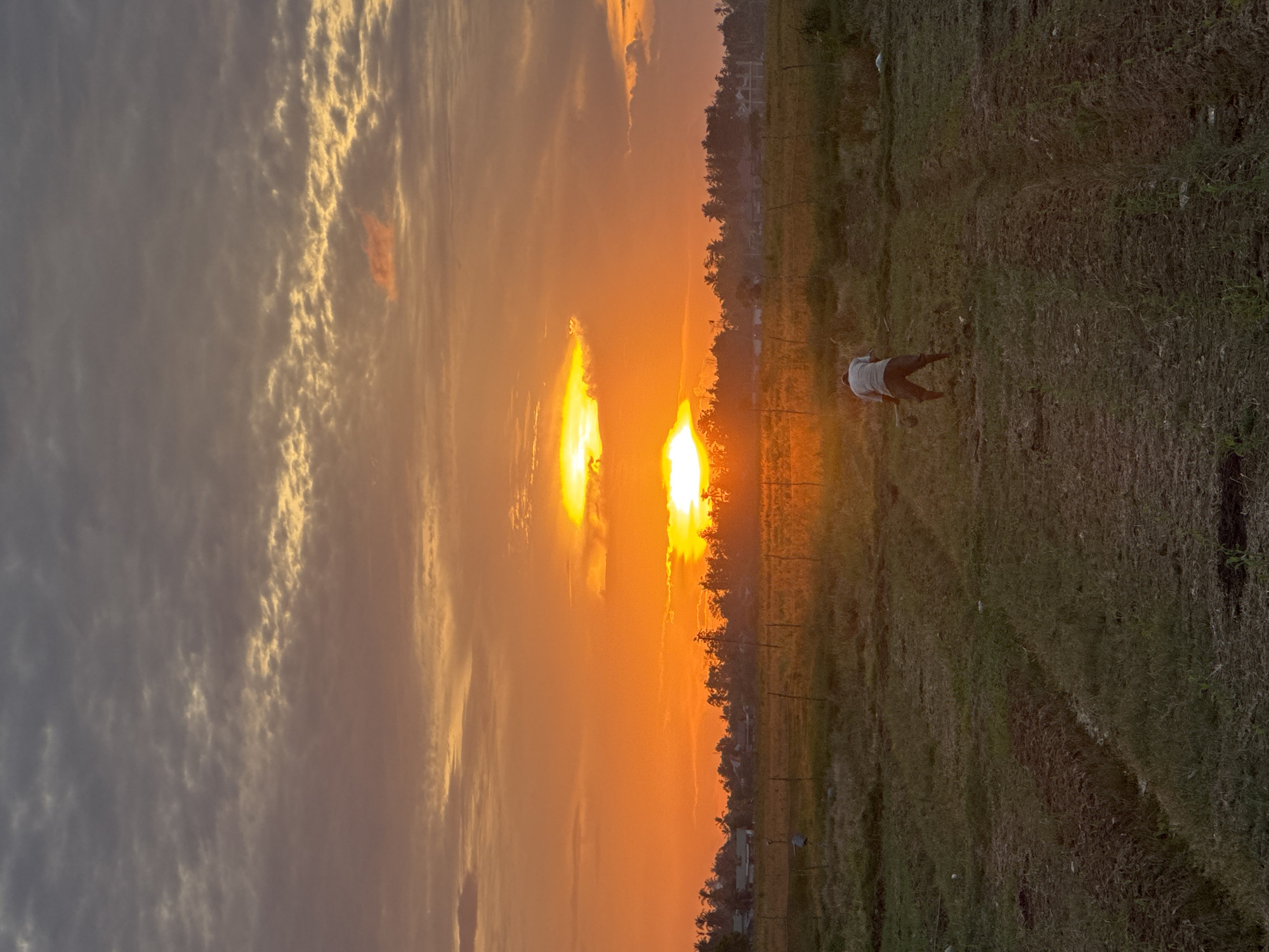 A farmer works in a field at sunset in Pulo Lhok, Indonesia. The sky is a vibrant orange and yellow, with clouds casting shadows over the landscape. In the foreground, the farmer is bent over, using a tool to cultivate the soil. The field appears to be a mixture of tilled earth and grass. In the background, a line of trees and some houses can be seen.