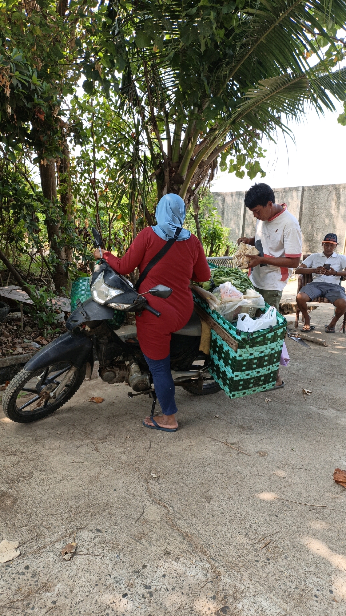 The image depicts an outdoor scene in Cikal, Indonesia, likely near a street or rural road. In the foreground, a black motorcycle is parked, with its kickstand down. A woman, wearing a light blue hijab and a red long-sleeved top over dark blue leggings, is standing next to the motorcycle, her right foot on the ground. She has a black strap across her body, likely from a bag. Attached to the rear of the motorcycle is a large, green woven basket filled with produce, including what appear to be leafy vegetables and some longer, lighter colored items.
To the right of the woman, a man in a white t-shirt with red trim is interacting with the contents of the basket, appearing to hold some of the produce. Further to the right, a third person, a man wearing a light colored shirt and grey shorts, sits on a dark chair. He is wearing a light-colored cap and is looking down at a mobile phone in his hands. Behind the individuals, a concrete wall is visible, and the scene is bordered by dense green foliage, including palm trees, with sunlight filtering through the leaves, indicating it is daytime. The ground is paved with concrete, and scattered dry leaves and twigs are present.