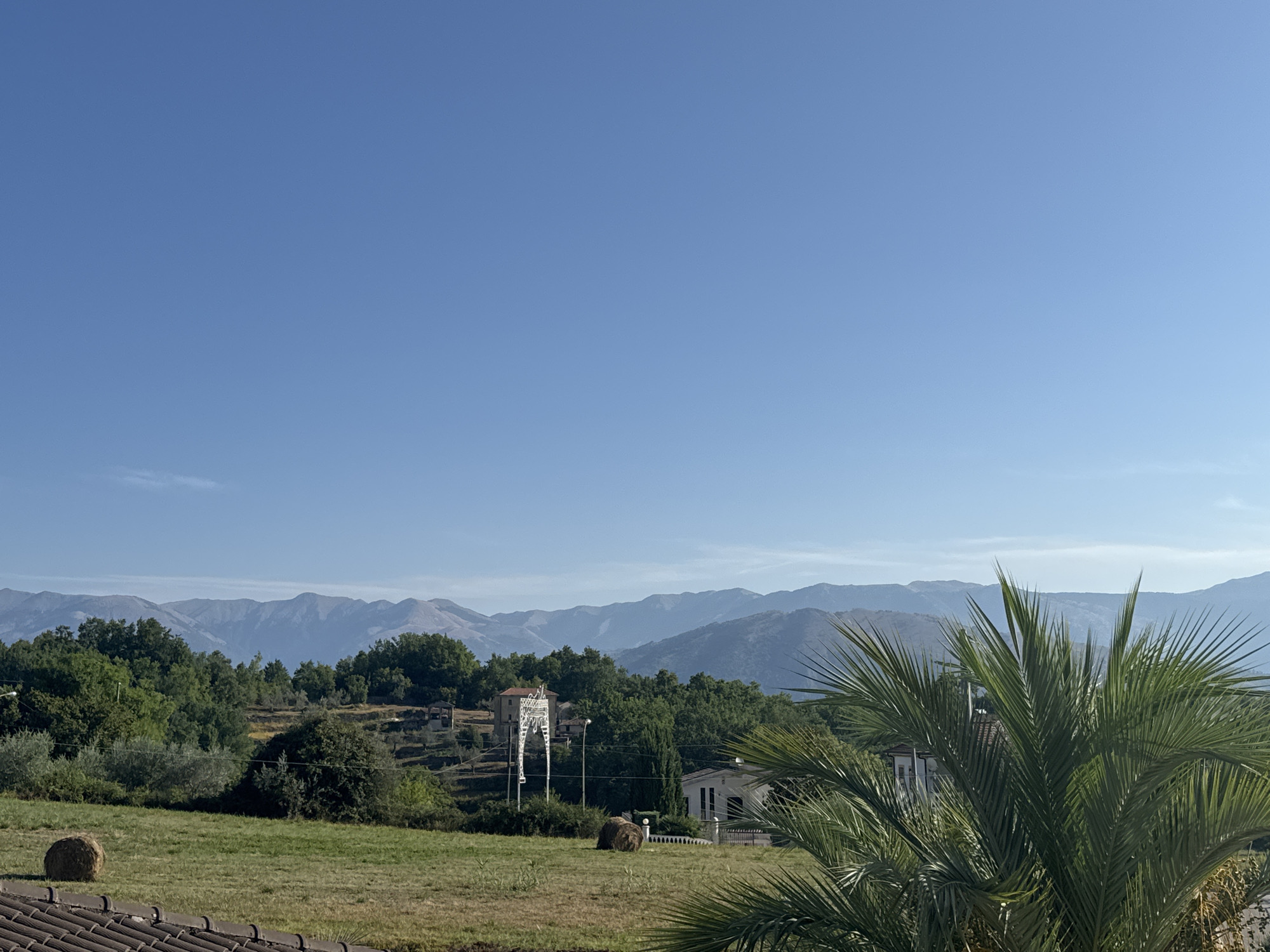 The image depicts a serene landscape with a clear blue sky dominating the upper portion. In the foreground, a tiled roof is visible, suggesting a vantage point from a building. A lush green field stretches across the middle ground, dotted with a few hay bales. A solitary palm frond is prominently featured in the right-hand corner, obscuring a portion of the view.
Beyond the field, a densely wooded area is apparent, with trees of various shades of green. Nestled within the trees are a few structures, including a white building with a fence and an ornamental white archway. Further back, rolling hills transition into a majestic mountain range that fades into the distance. The overall atmosphere is tranquil and rural.
The location is identified as Casalvieri, Italy, which is a commune in the province of Frosinone in the Italian region of Lazio. The image captures a typical Mediterranean countryside scene, characterized by its natural beauty and scattered rural dwellings.