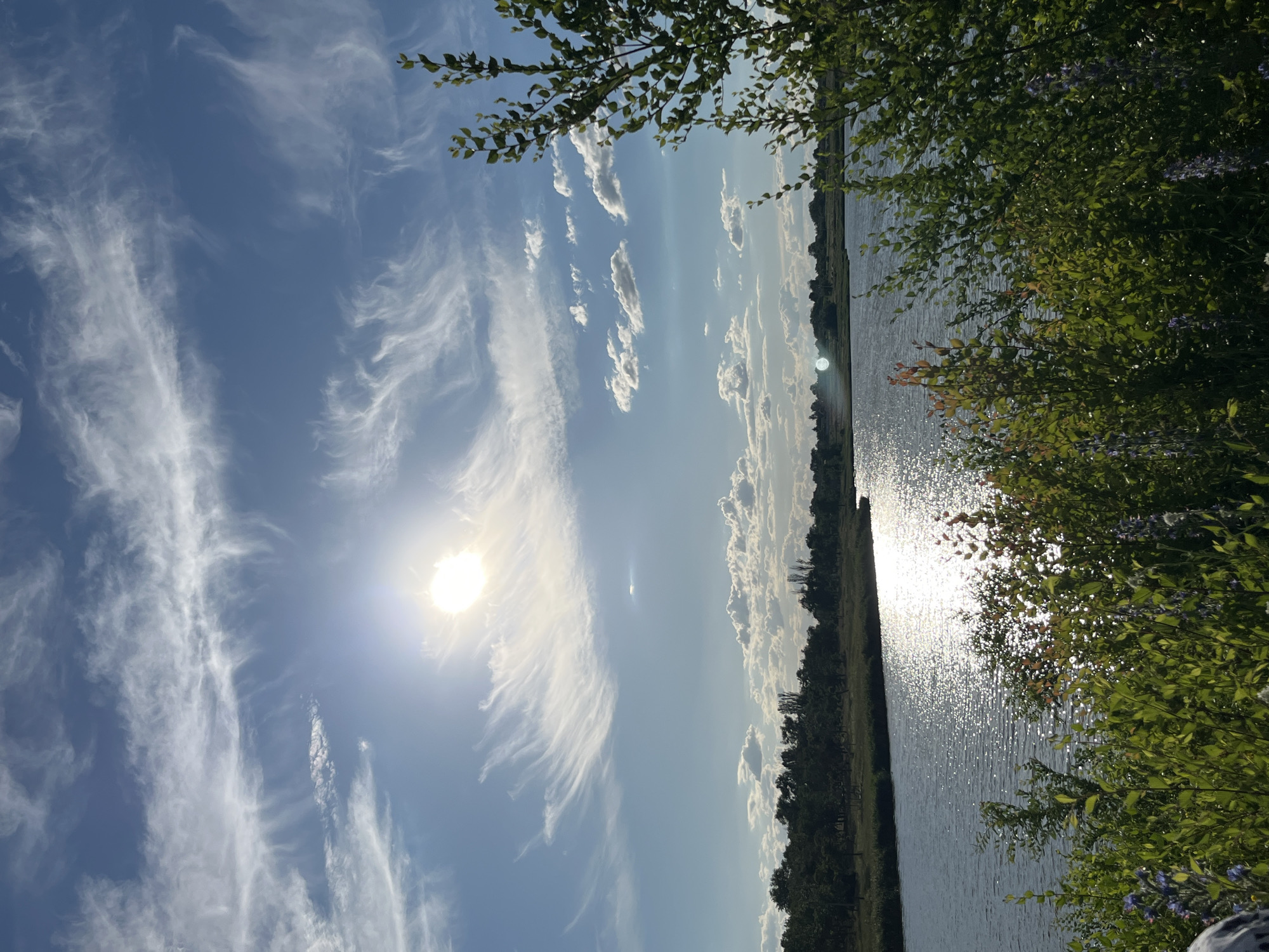 The image depicts a scenic view of a body of water, likely a river or lake, under a bright, partly cloudy sky. The sun is prominent in the upper left quadrant, casting a strong glare on the water's surface, creating a shimmering effect. Wispy cirrus clouds stretch across the blue sky, interspersed with smaller cumulus clouds. Along the far bank of the water, a dense line of trees forms a dark green horizon. In the foreground, lush green vegetation, including bushes and some flowering plants with purple blossoms, partially obscures the lower edge of the water and the far bank. The overall scene suggests an outdoor, natural environment. The location is specified as Shyroka Dacha, Ukraine. There are no people or specific actions depicted.