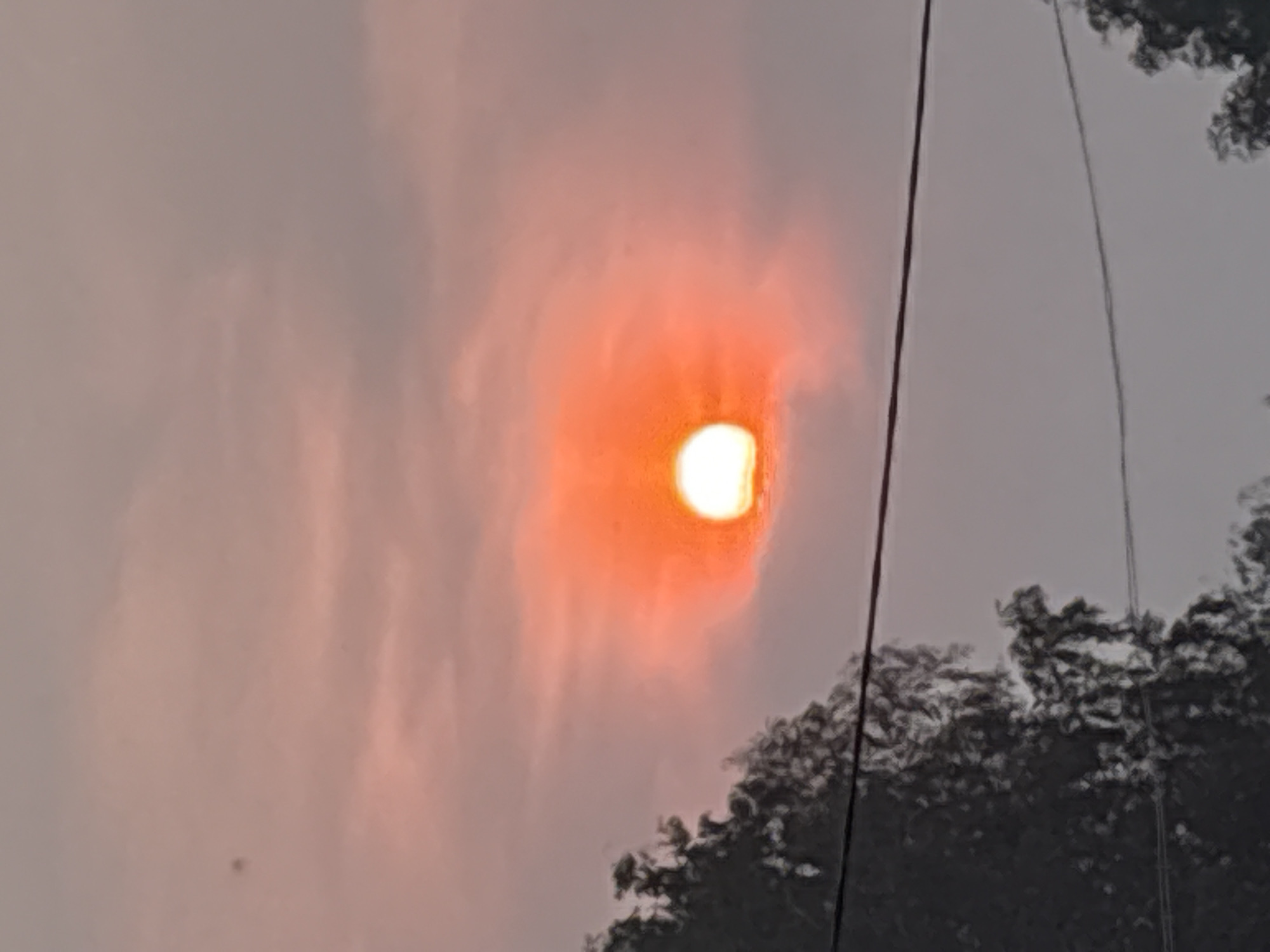 An outdoor, eye-level, medium shot captures a sunset over the city of Dubrovino, Russia. The sun, a bright orange orb, is partially obscured by clouds, casting a warm glow across the sky. Silhouetted against the vibrant sky are the dark branches of trees and power lines, adding a sense of depth and structure to the scene. The overall atmosphere is serene, with the muted colors of the sunset evoking a sense of calm and tranquility.