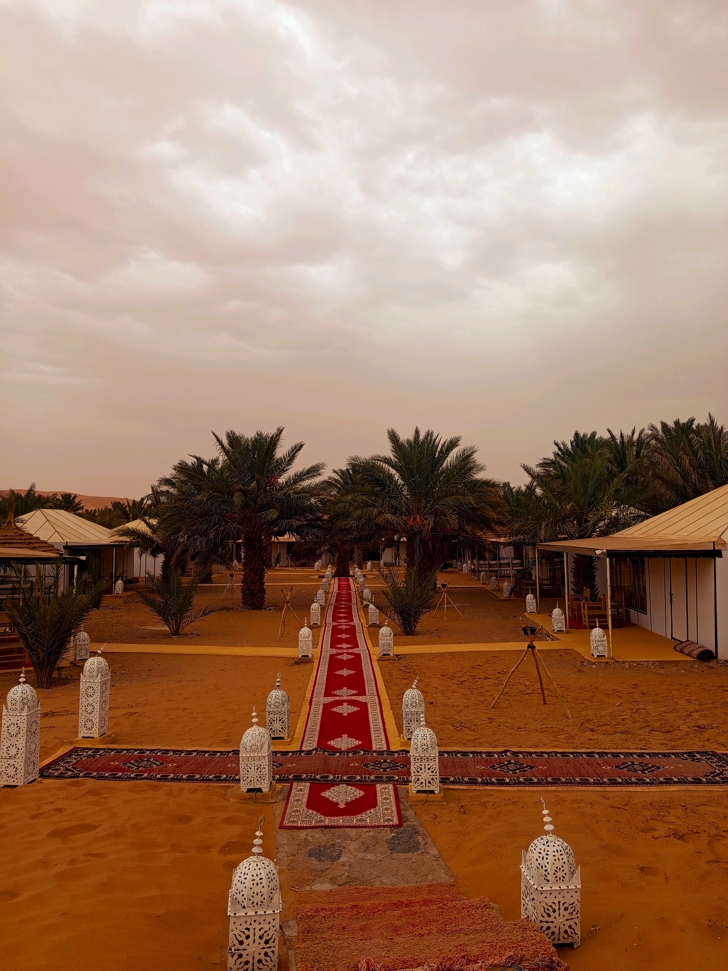 The image depicts an outdoor scene in Rissani, Morocco, characterized by a sandy desert environment. In the foreground, intricately designed white lanterns are placed along paths of patterned rugs. A prominent red carpet extends down the center of the scene, flanked by more rugs and lanterns. The path leads towards a row of canvas tents, each with a beige roof and white walls, suggesting a desert camp or resort.
Several palm trees are scattered throughout the area, with lush green fronds contrasting against the sandy terrain and the overcast, muted sky. In the background, more palm trees and desert dunes are visible. The overall impression is one of a desert encampment decorated for an event or arrival, with a focus on traditional Middle Eastern aesthetics. There are no people visible in the image.