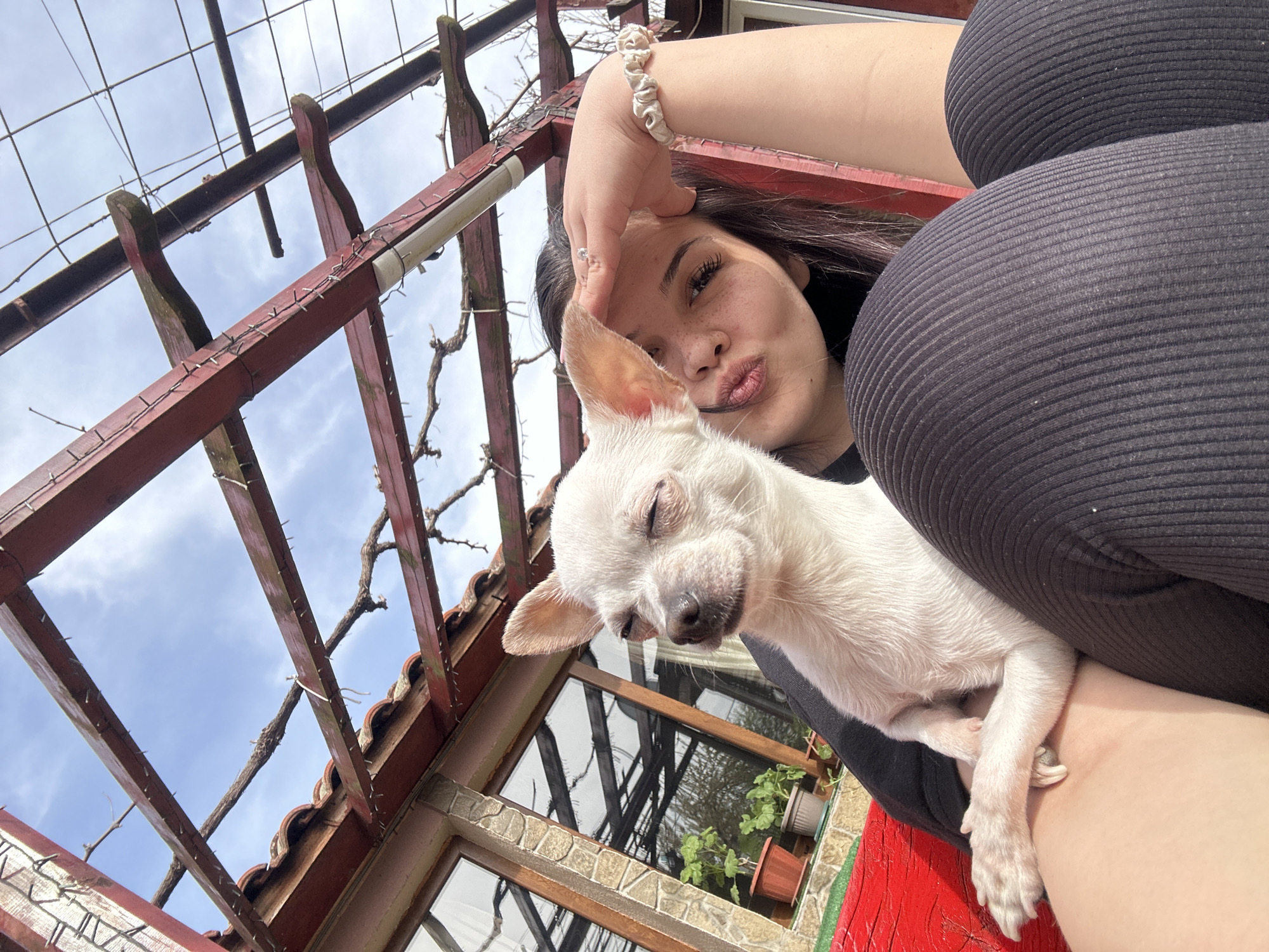 A low-angle selfie captures a young woman and a small white dog in an outdoor setting. The woman is visible from the chest up, with dark hair, a ring on her finger, and a light-colored scrunchie on her wrist. She wears a dark, ribbed top and has a playful, puckered-lip expression, looking towards the camera.
Held by the woman, a small white dog, resembling a Chihuahua, rests with its eyes mostly closed, appearing sleepy or content. Its soft white fur is prominent against the woman's dark clothing.
The background features a rustic wooden pergola or trellis structure painted reddish-brown, with bare vines, likely grapevines, intertwined around its framework. Delicate string lights are visible along some of the wooden beams. Above the structure, the sky is partly cloudy with patches of blue. Below and to the right, elements of a building are visible, including terracotta roof tiles, windows reflecting the sky and indoor potted plants, and a section of a stone or brick wall. A bright red painted surface, possibly a bench or railing, adds a splash of color in the lower right.
The image conveys a tender and affectionate moment between the woman and her pet, set outdoors on a daytime, partly cloudy day in what appears to be Skala, Bulgaria, likely during late winter or early spring due to the bare vines. No visible text is present.